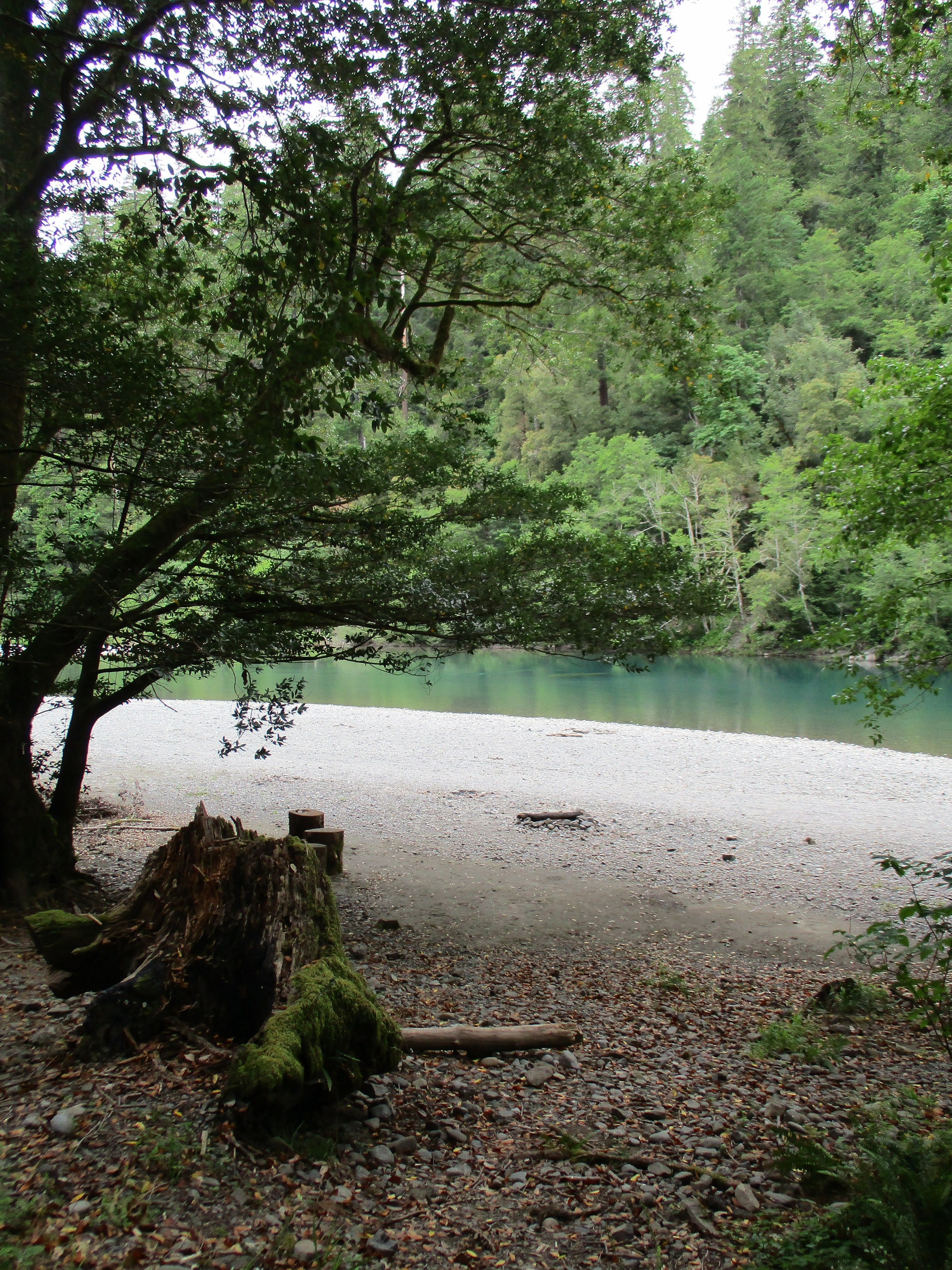 Rogue-River Siskiyou National Forest