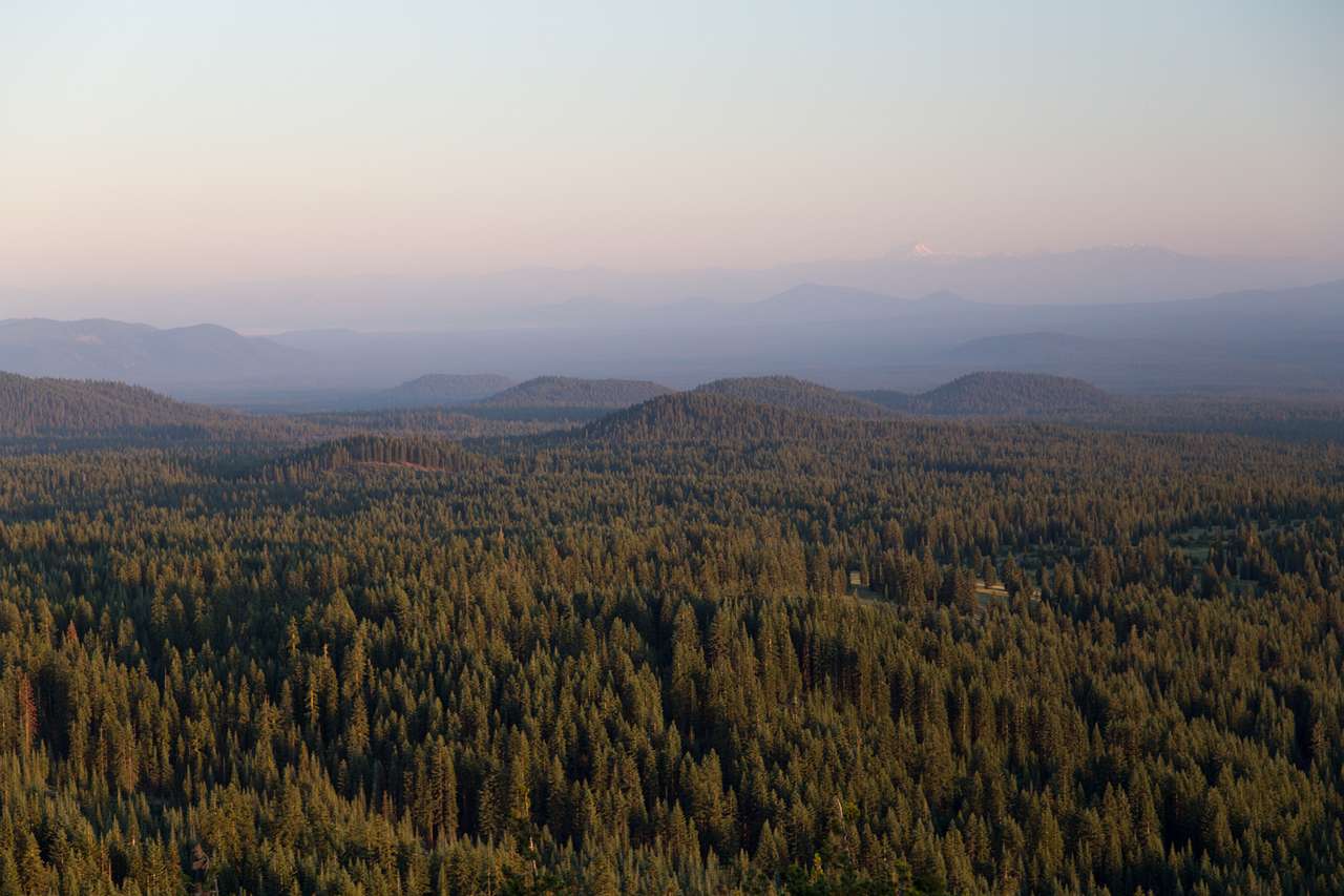 Are these drumlins? Geomorph junkies will have a field day up here. Possibly literally.