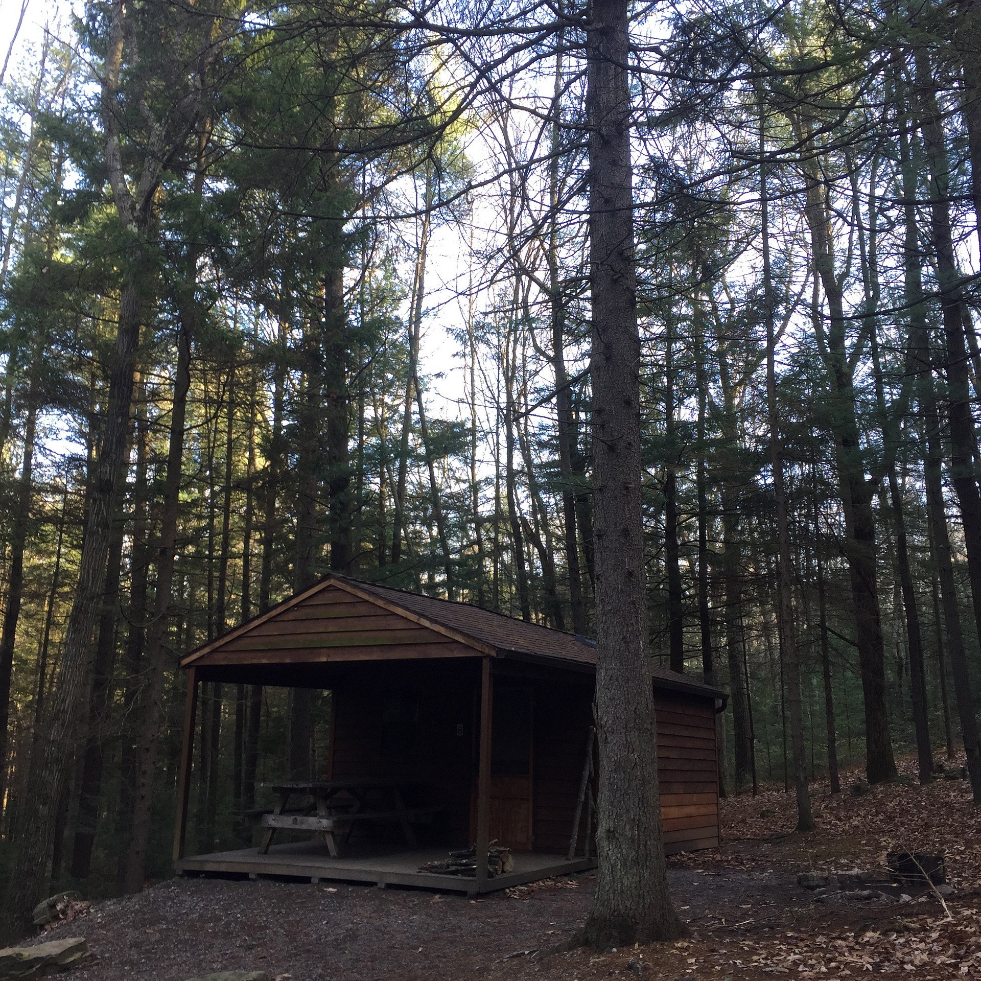 Cabin