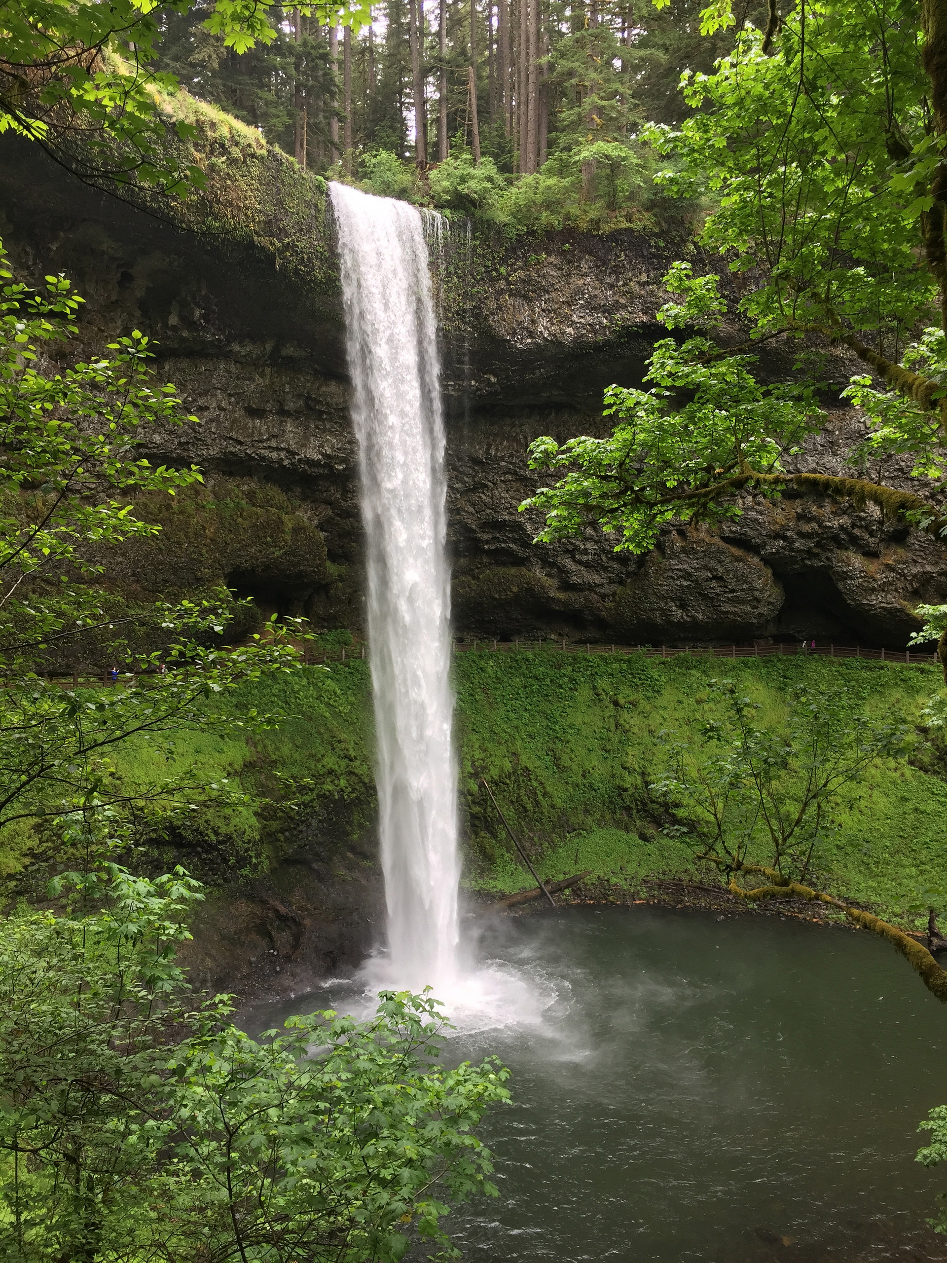 Silver Falls State Park