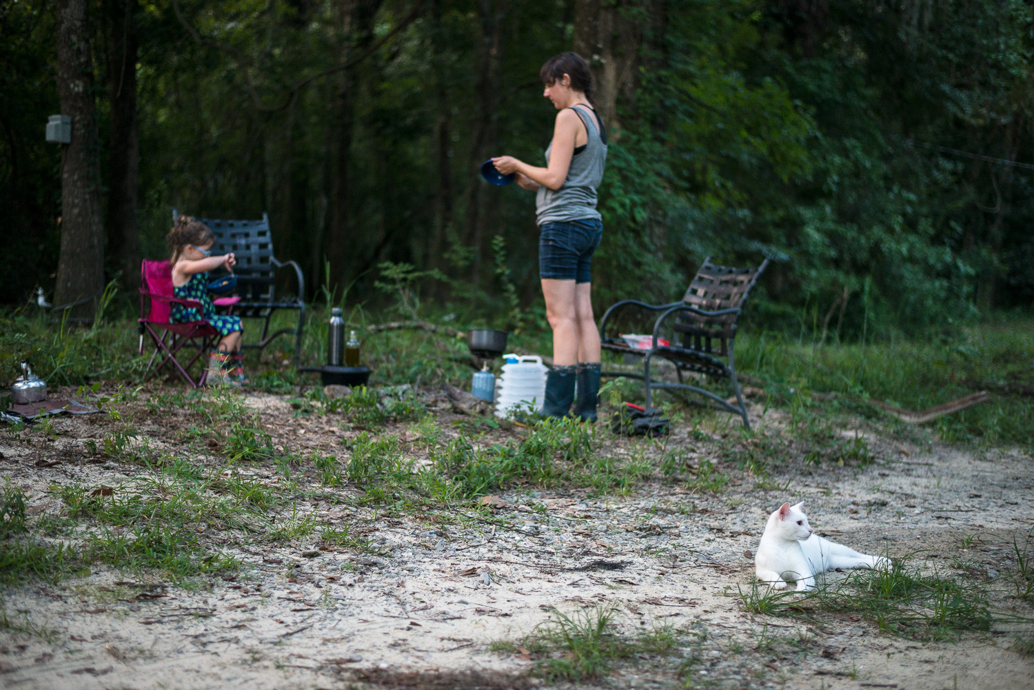 Damon's friendly cat.