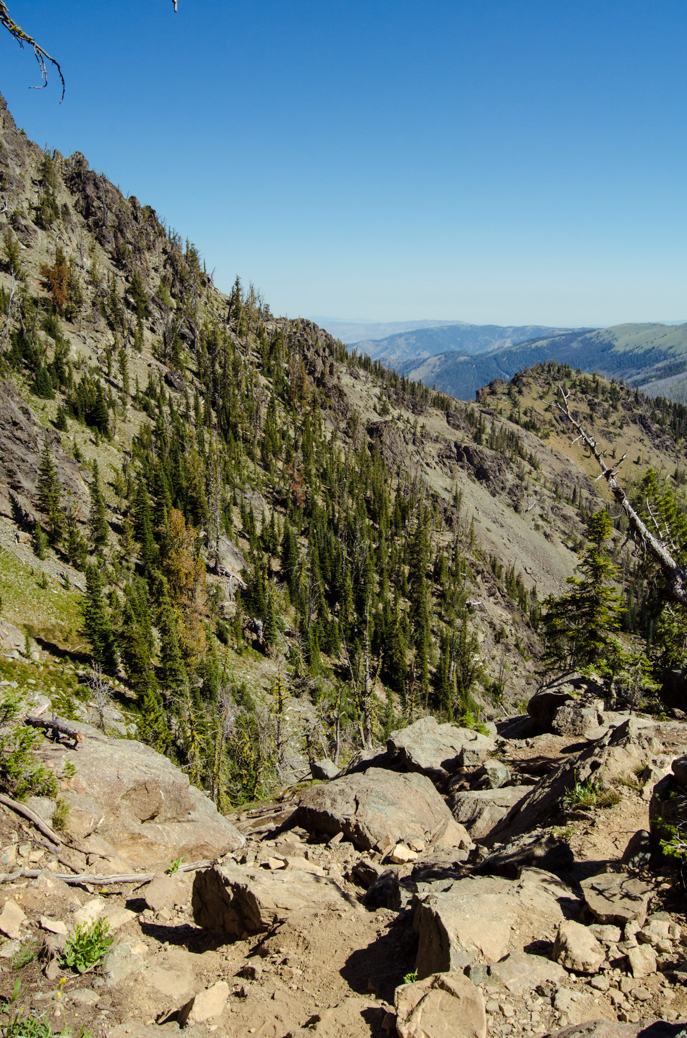Nez Perce-Clearwater National Forests
