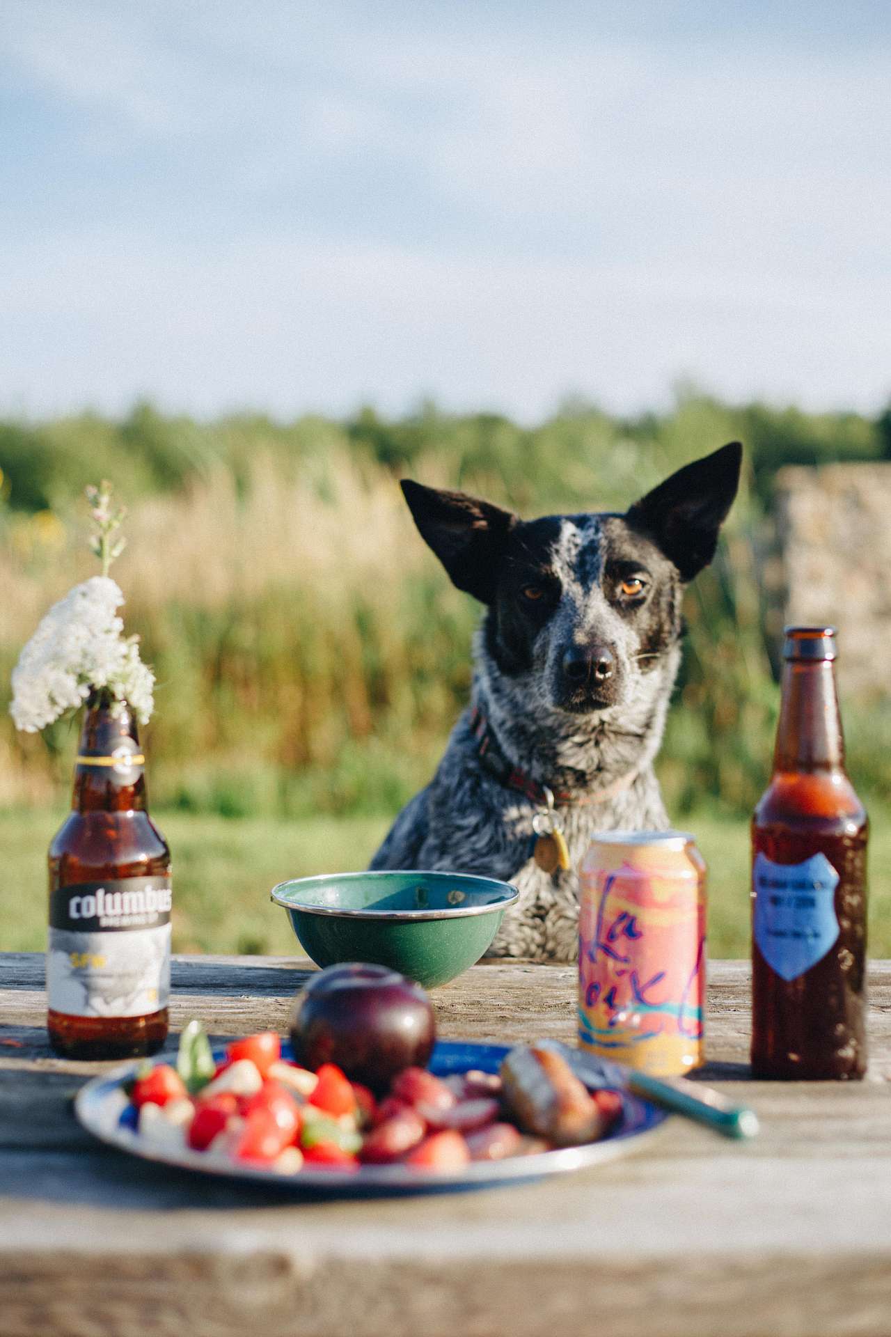 farm to table dinners