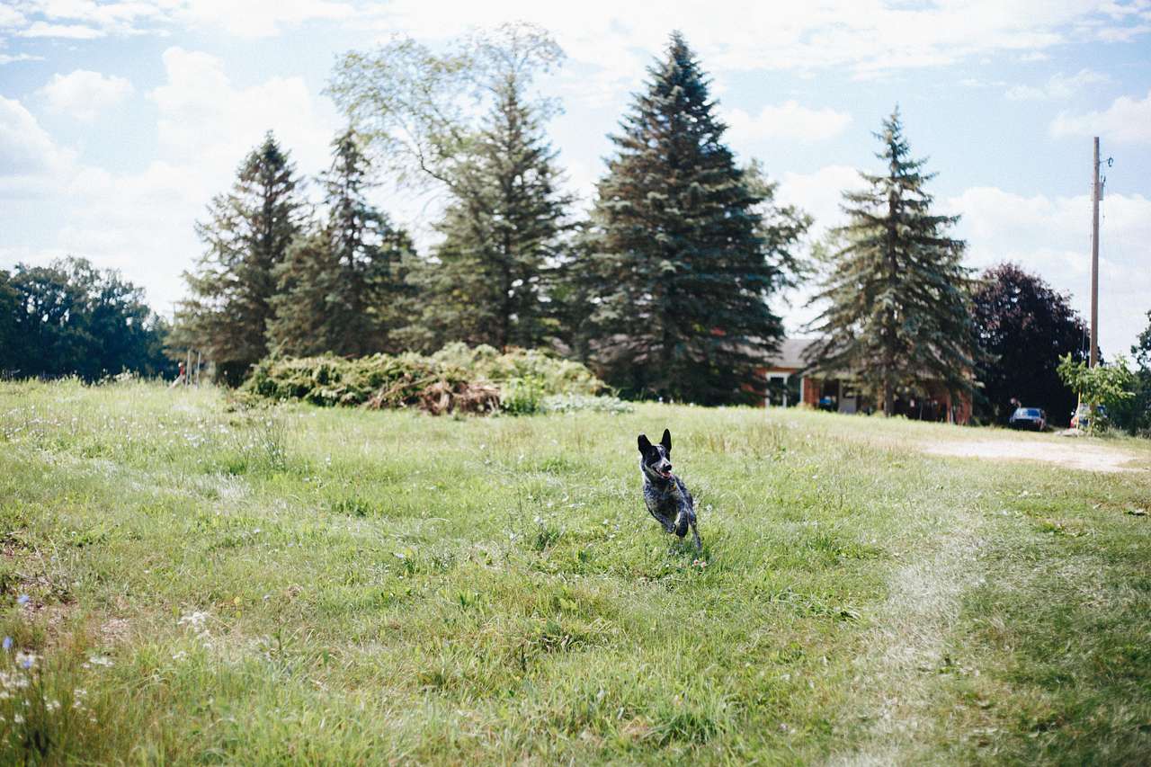 Nature and Nurture Farm