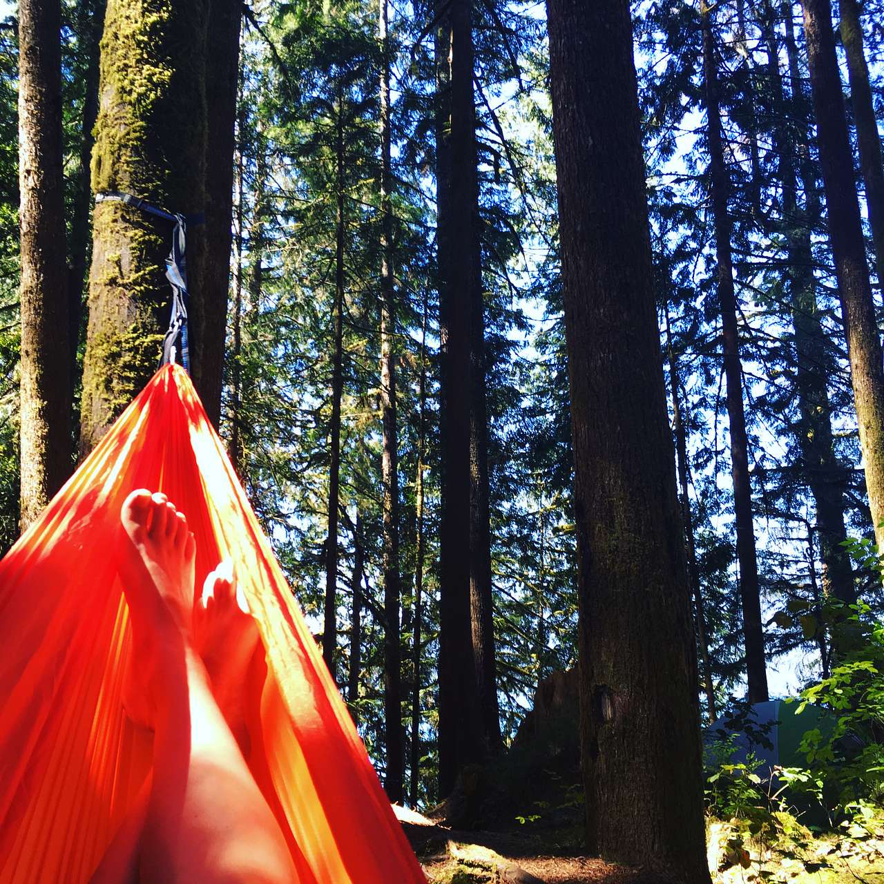 Eno hammock lounging