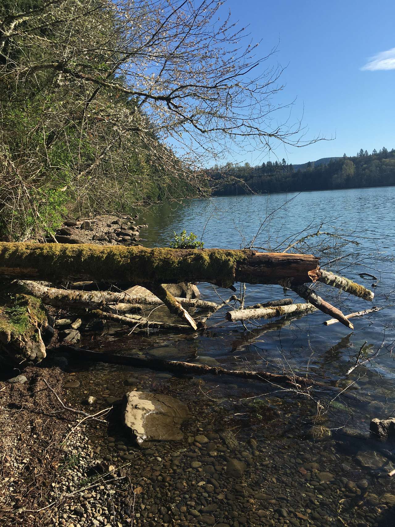 Ike Kinswa State Park