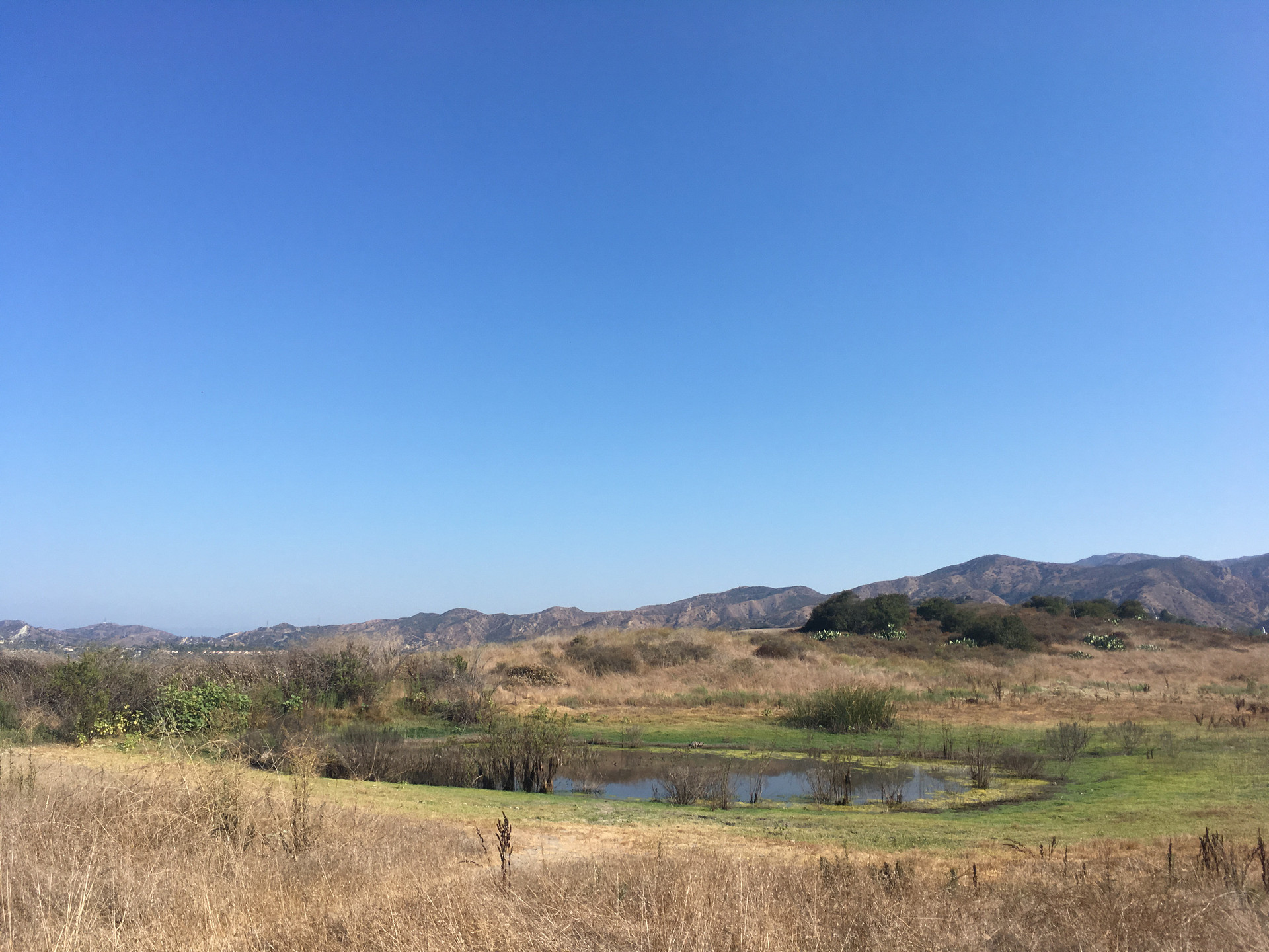 You can choose hikes anywhere from 1 mile, to 5 miles, to 13-mile hikes. They also allow horseback riding and mountain biking on the trails -- beware of poison oak and horse manure on your path. 