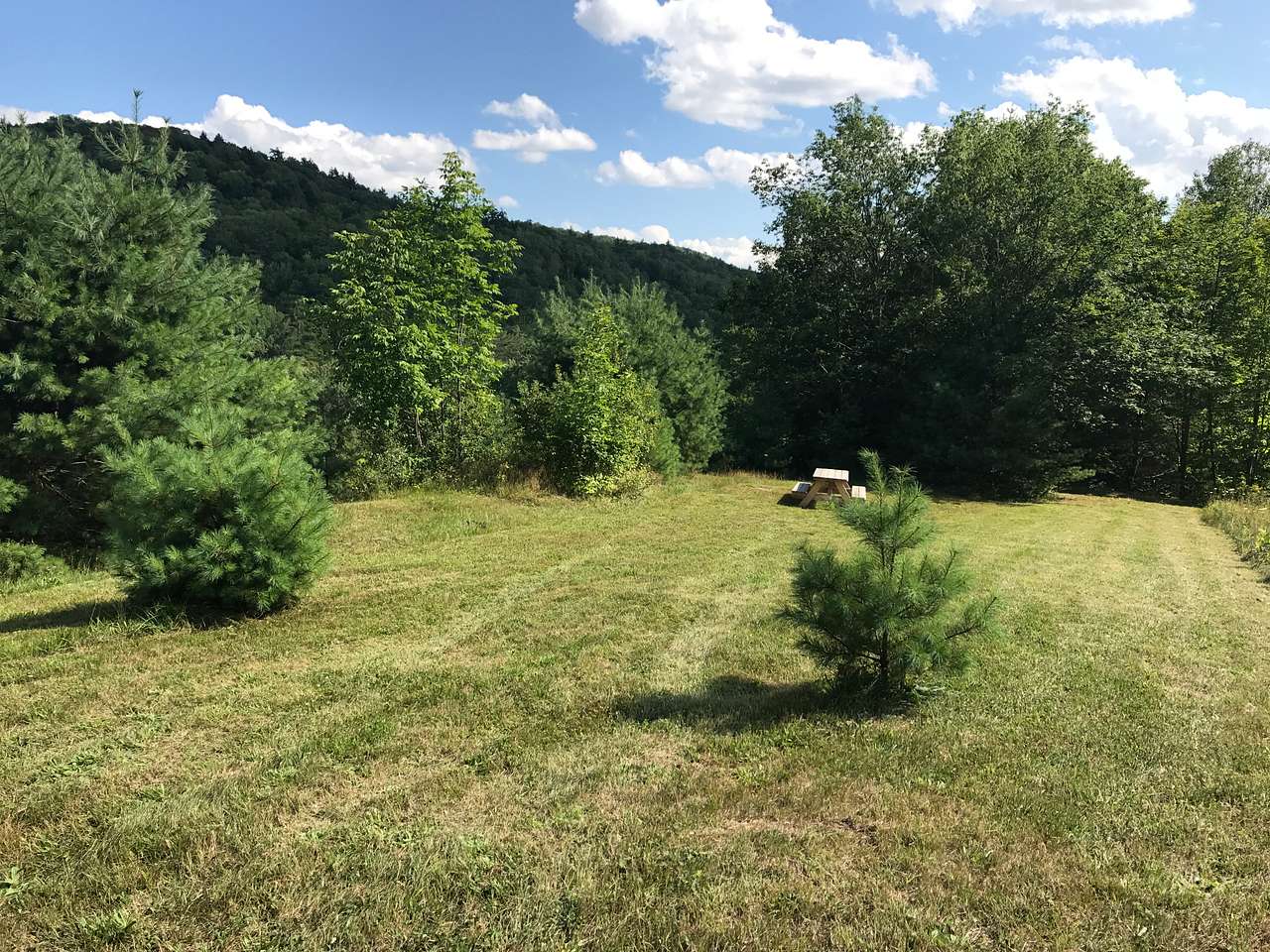 Beautiful campsite with Mountain View! The 2 little pines trees have been cut down to give more space to our campers