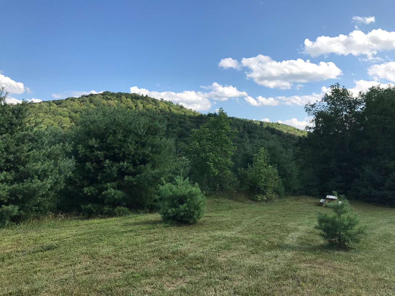 Campsite