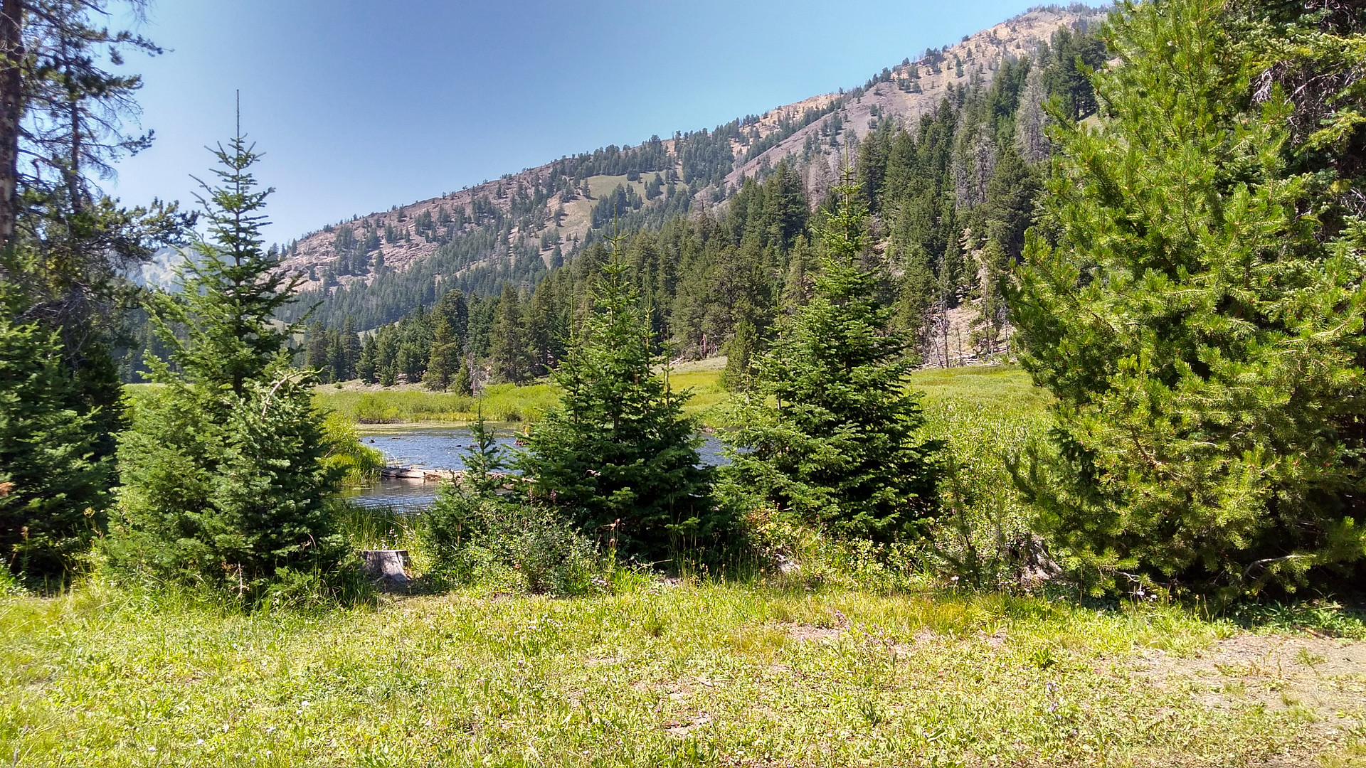 Park Creek Campground