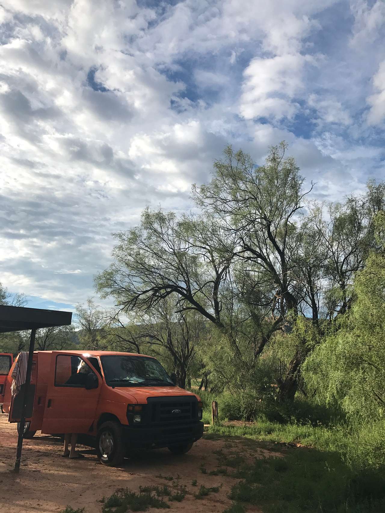 Cactus Campground