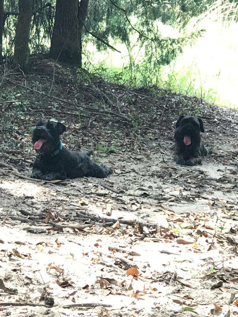 Sandy Ridge Camping