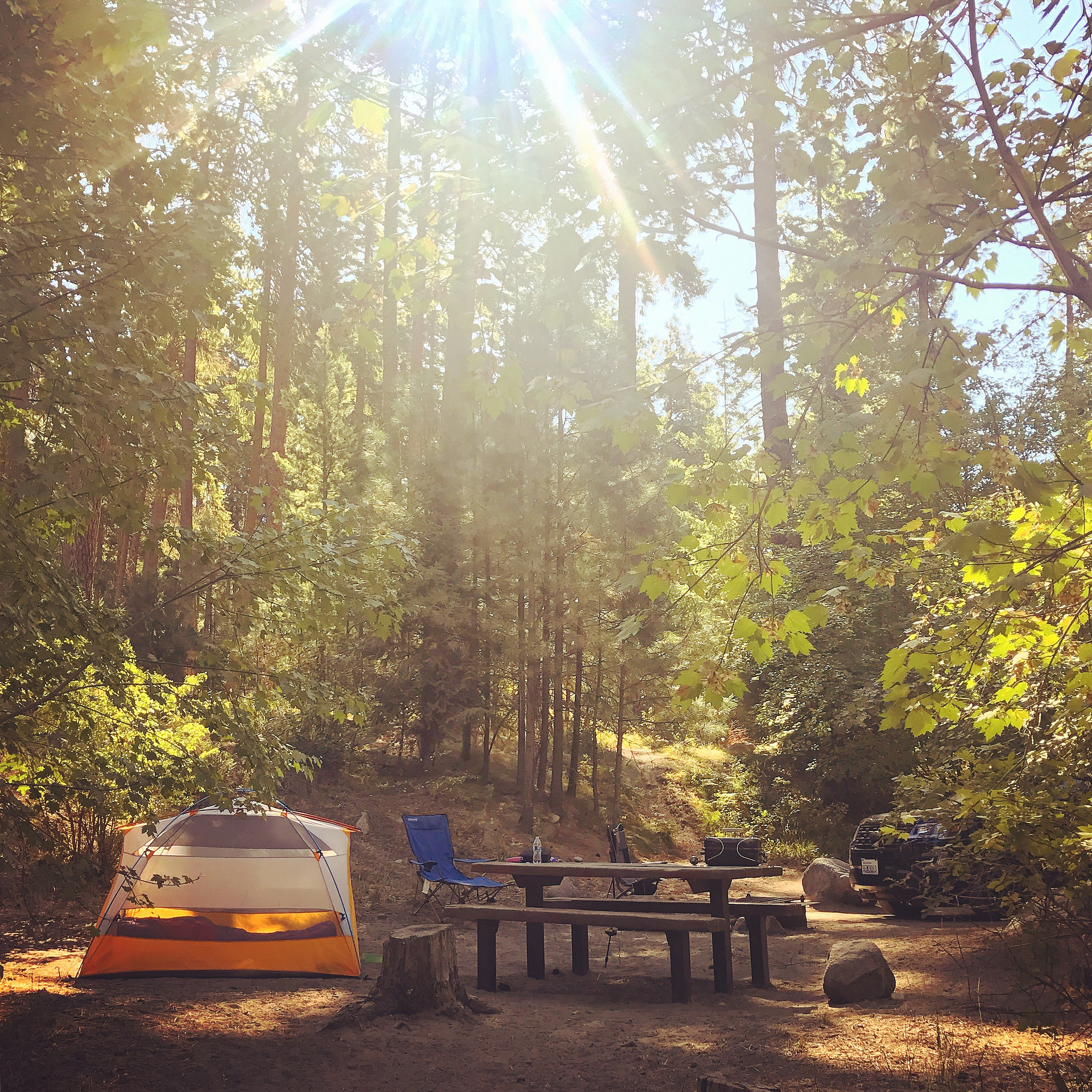 Okanogan-Wenatchee National Forest