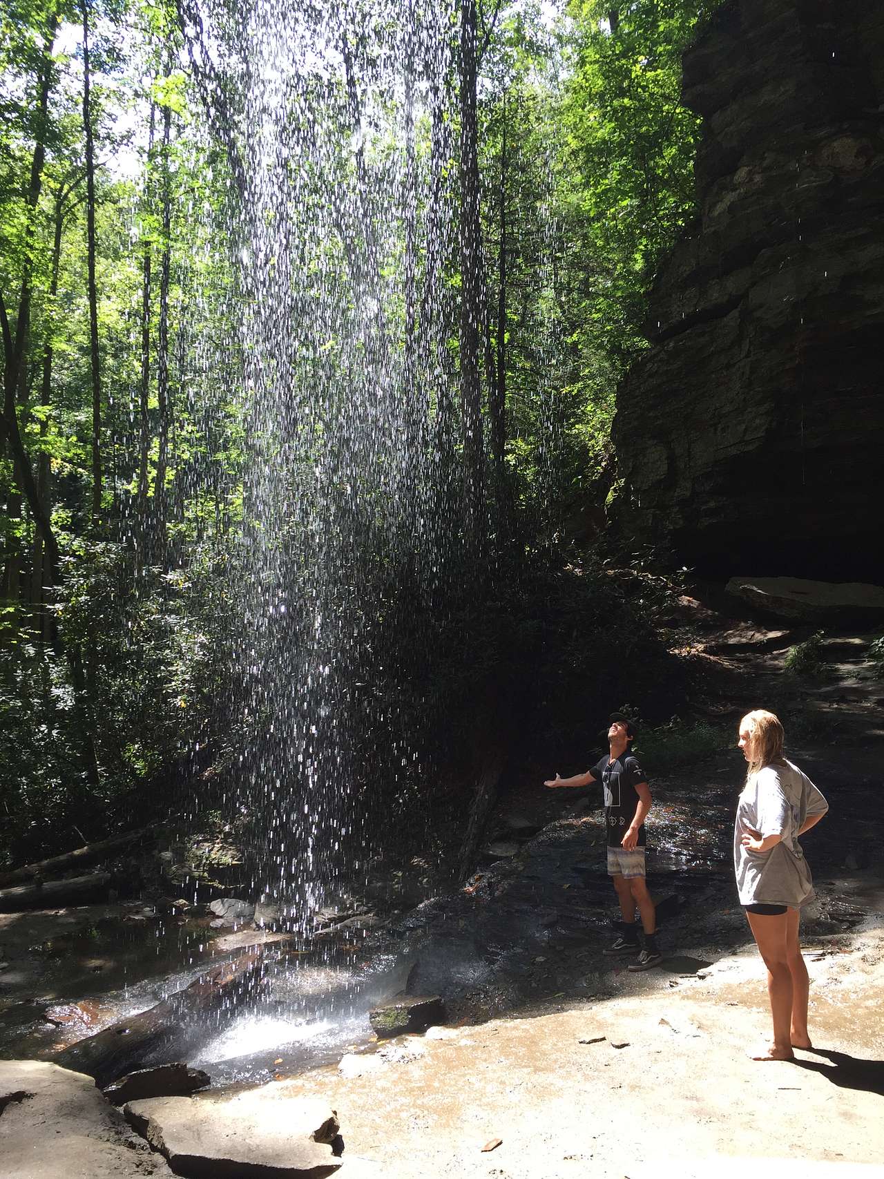 Davidson River Campground