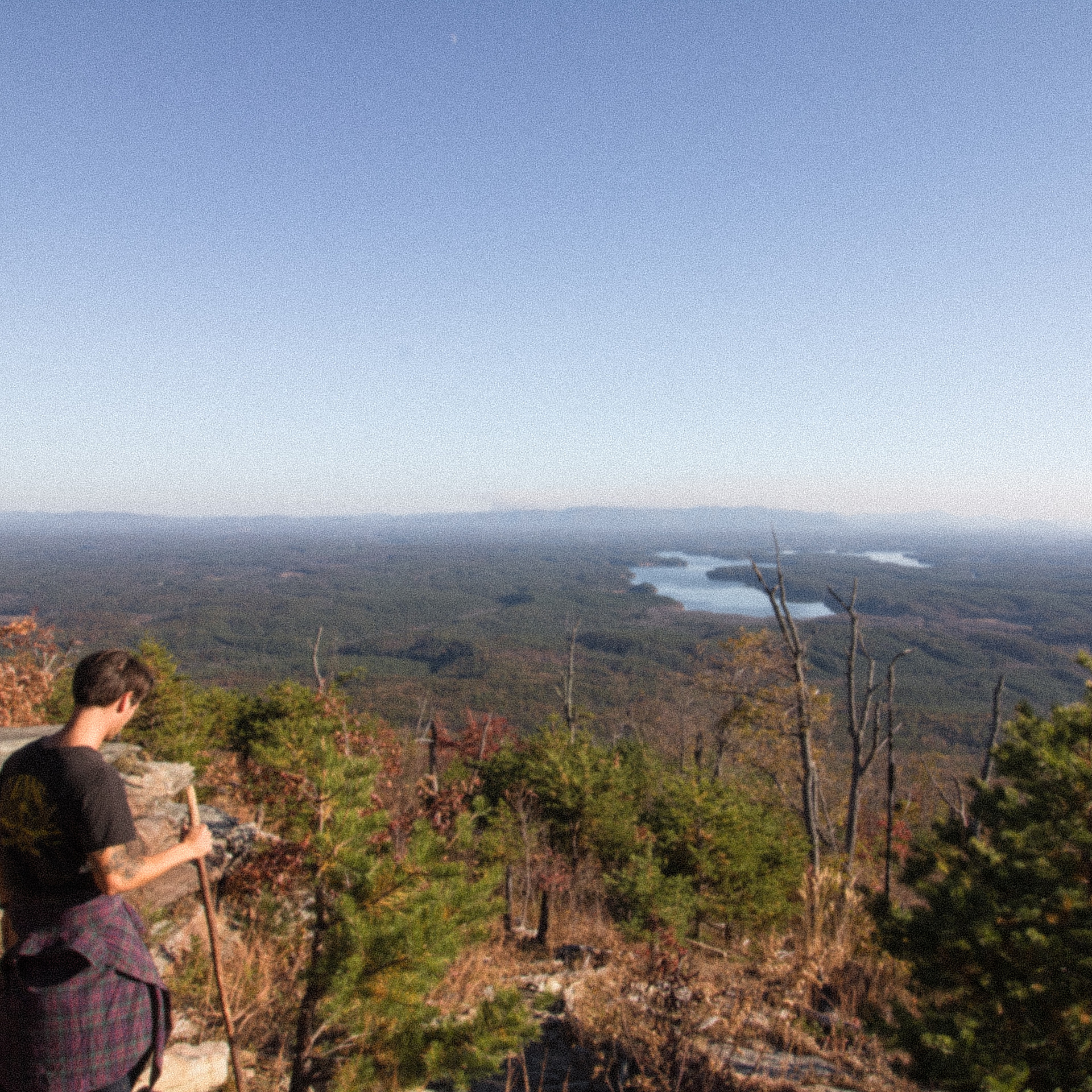 Pisgah National Forest