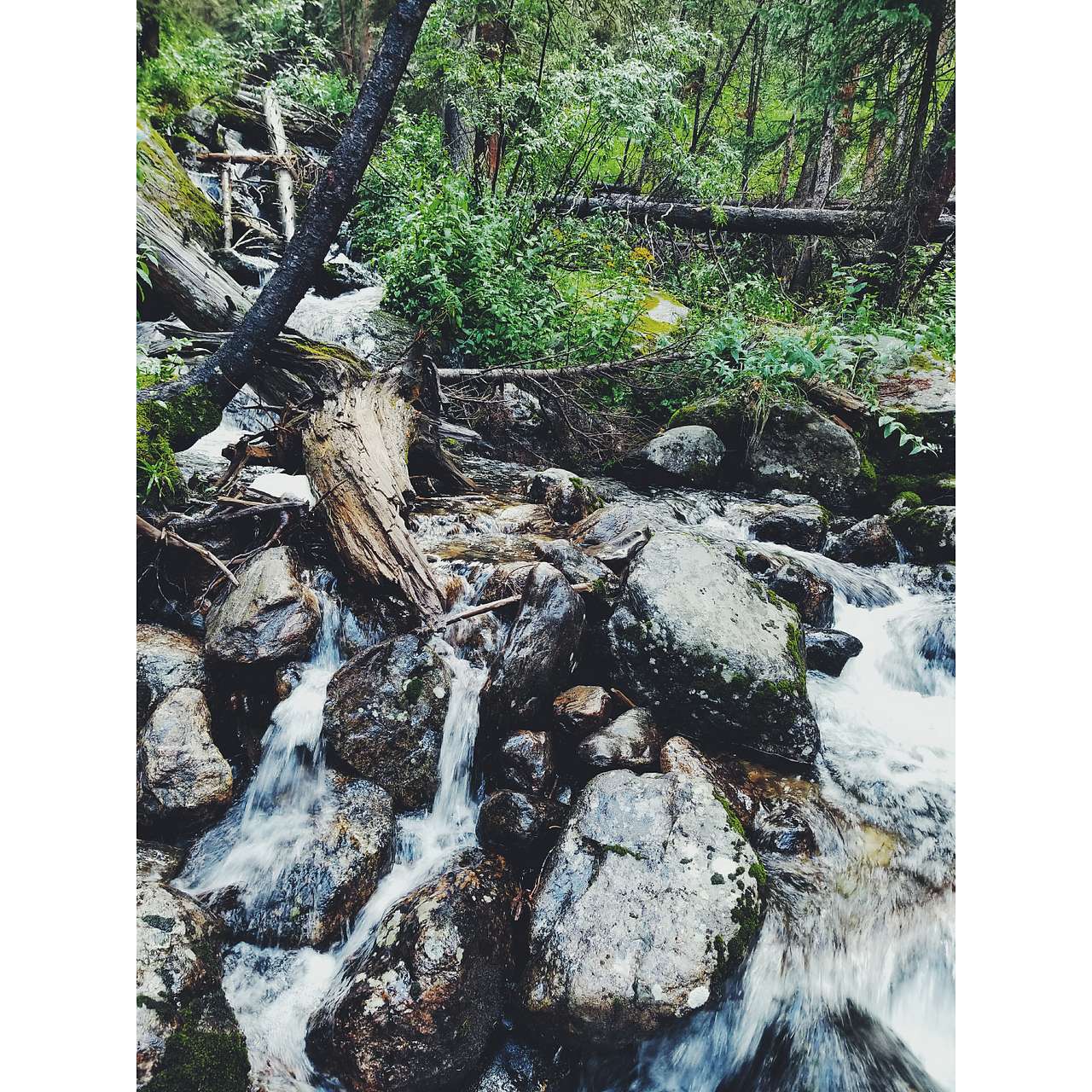 Difficult Campground