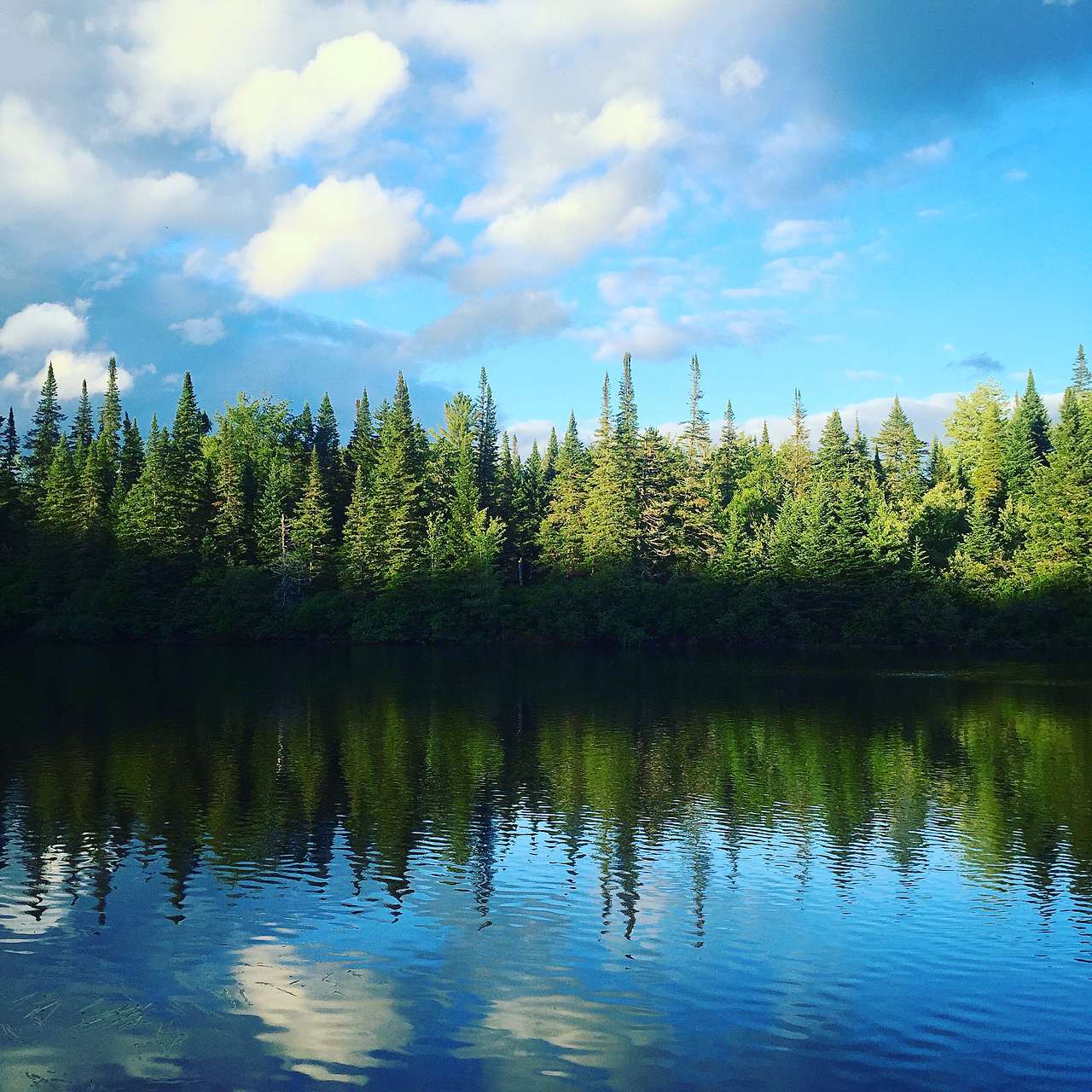 Over 90% of the sites in this campground are waterfront.  