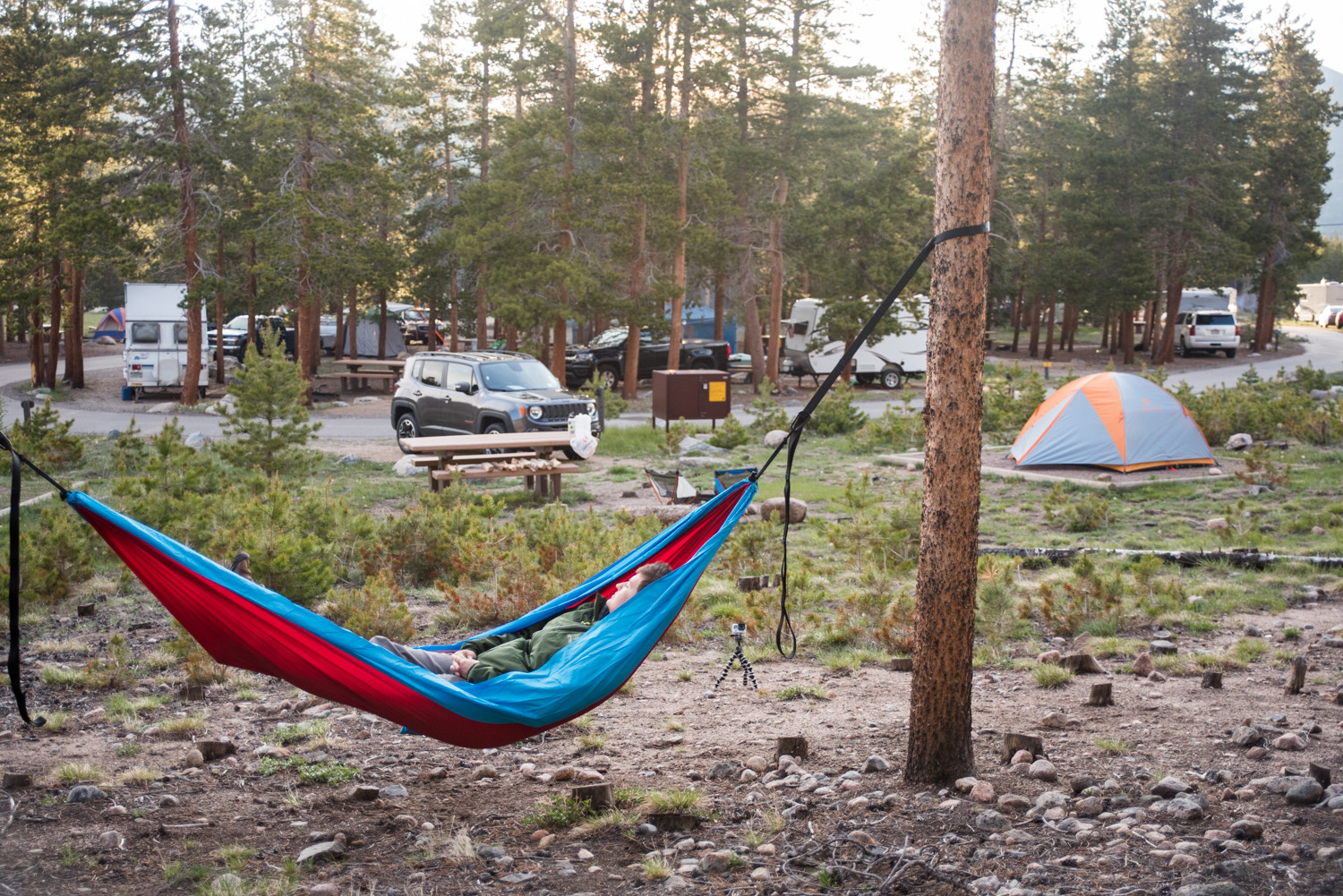 Perfect spot for hanging in the trees.