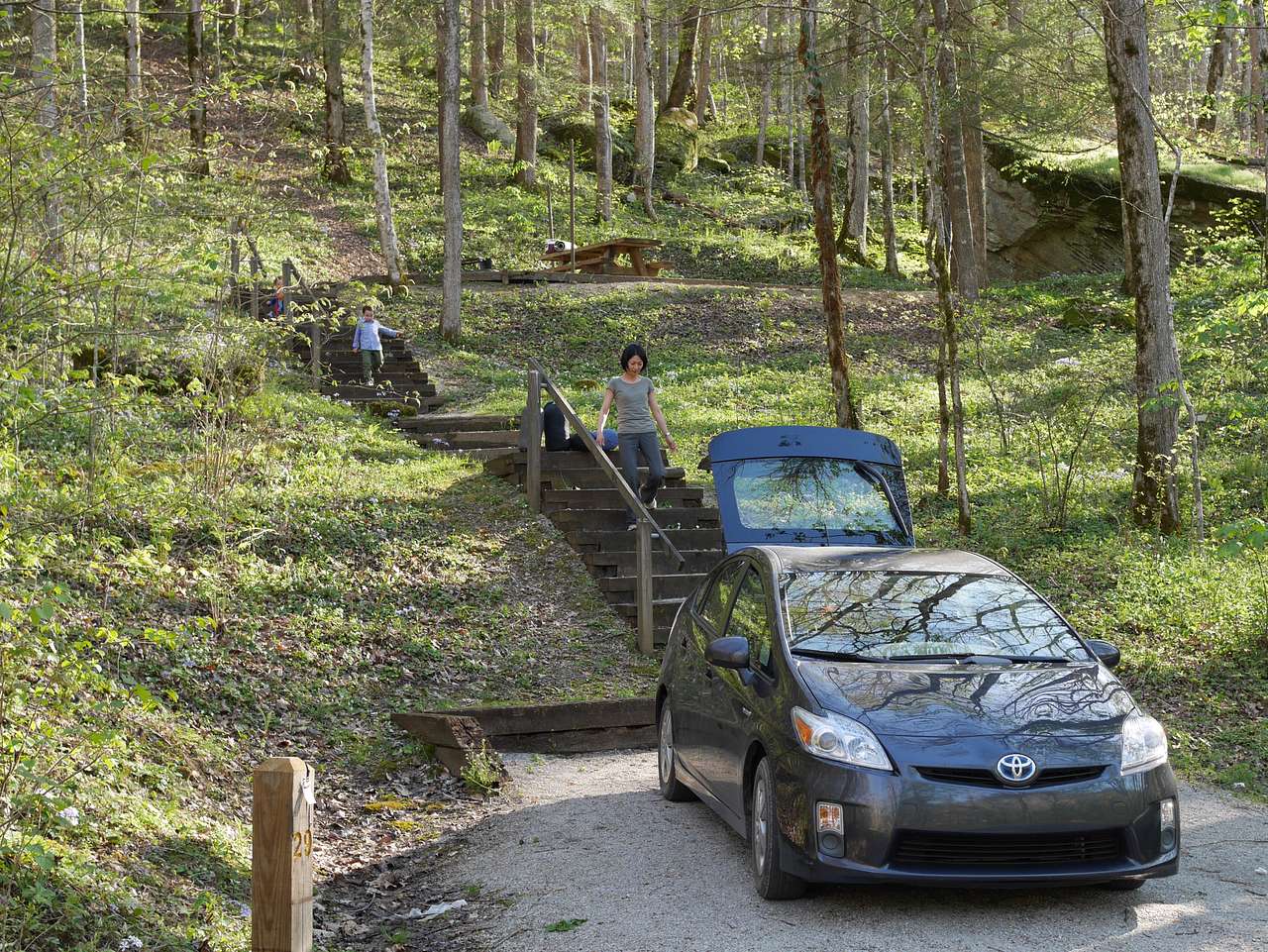 Elevated sites on the North Side of the campground