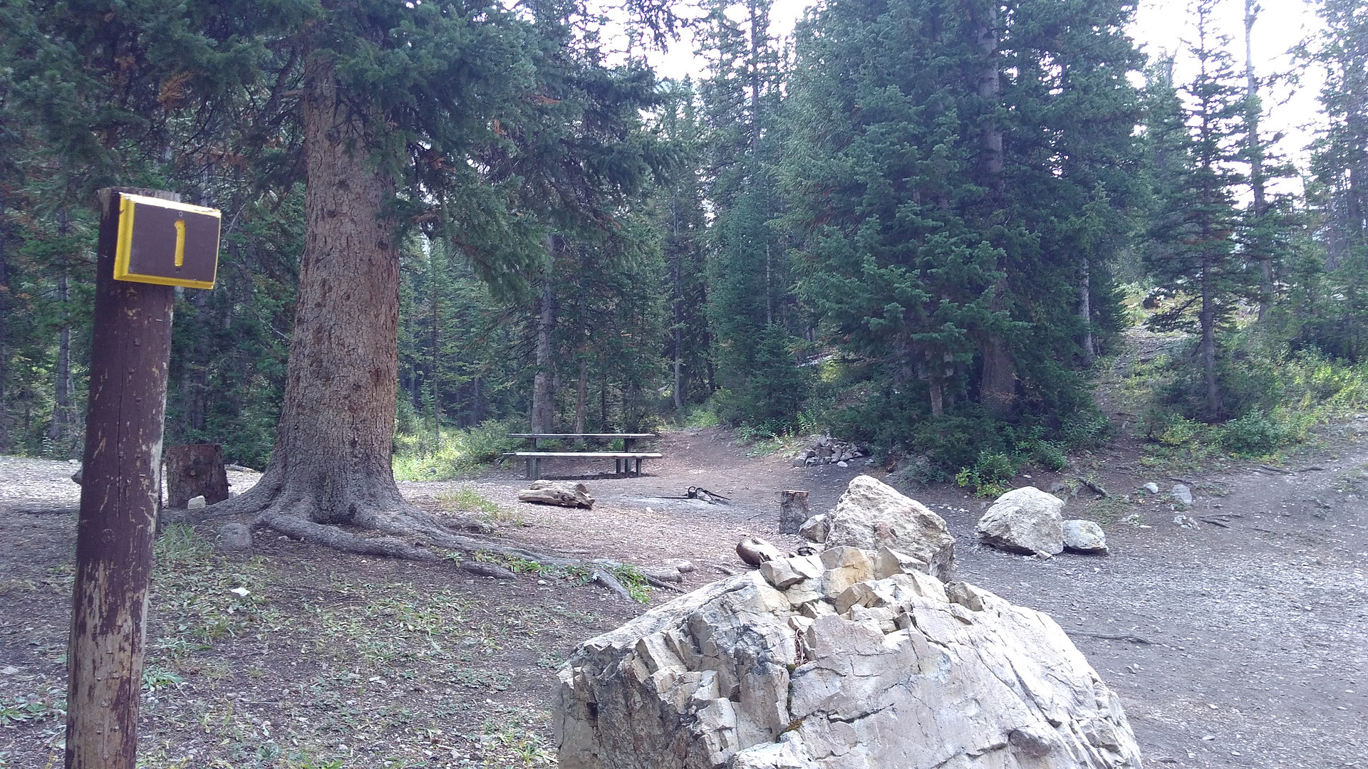Bridger National Forest