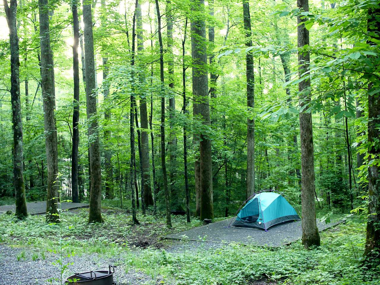 Wooded sites are not too dark, but the shade keeps things cool in the summer.