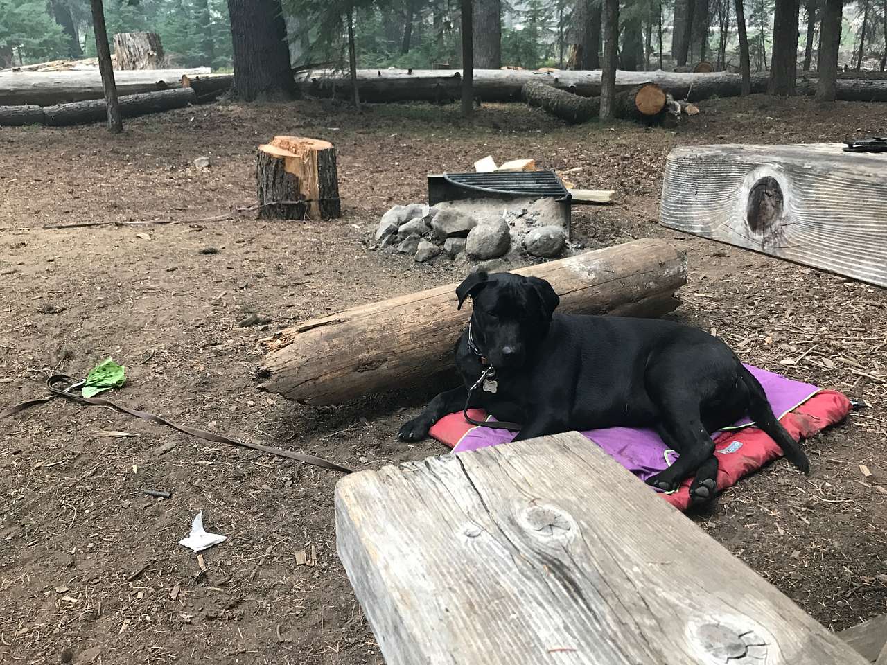 Thielsen View Campground