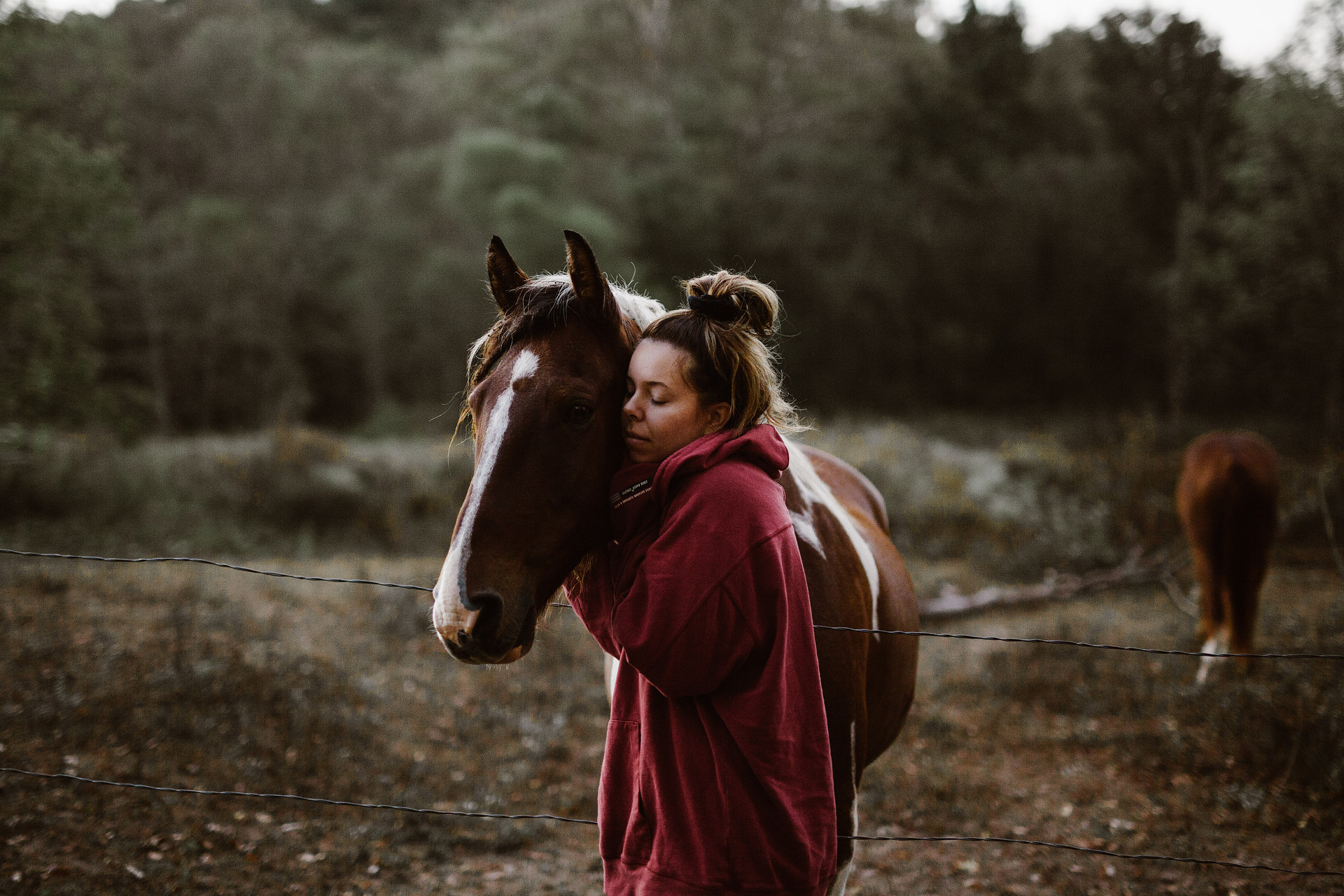 The most friendly horses.