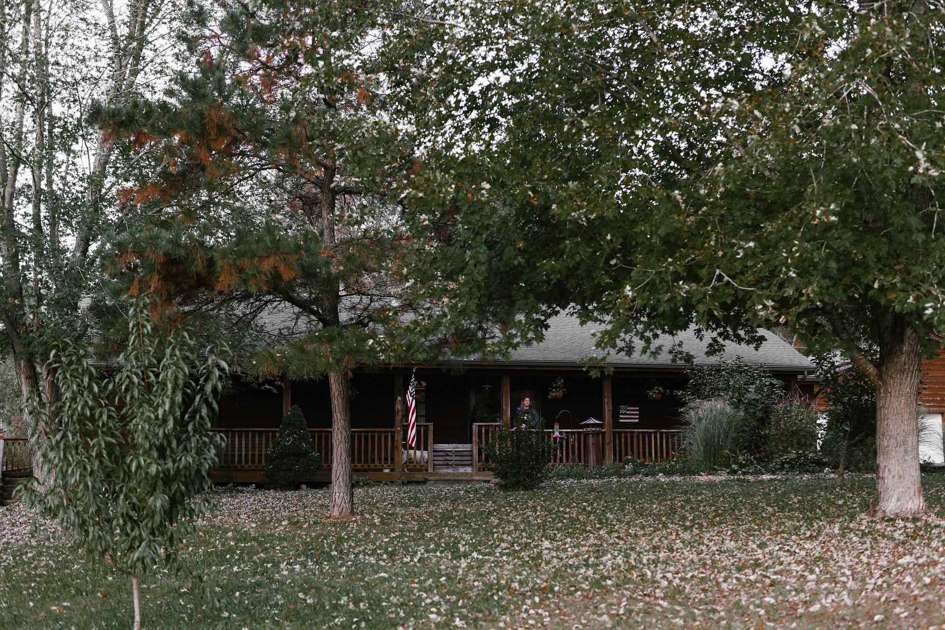 Hummingbird Hollow Outdoors
