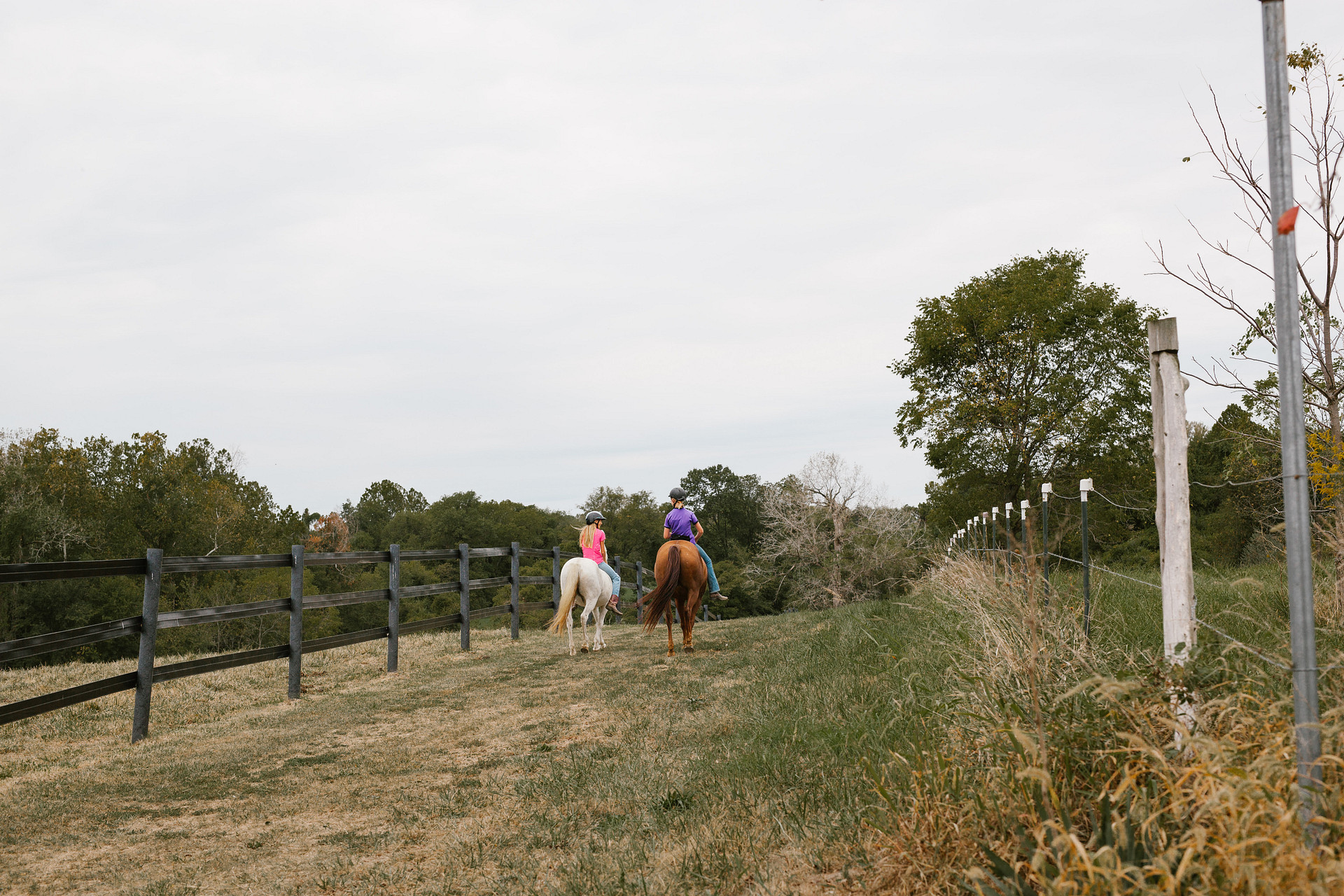 Marcy, the owner, encourages people who have horses to feel free to bring them. They are welcome, too!