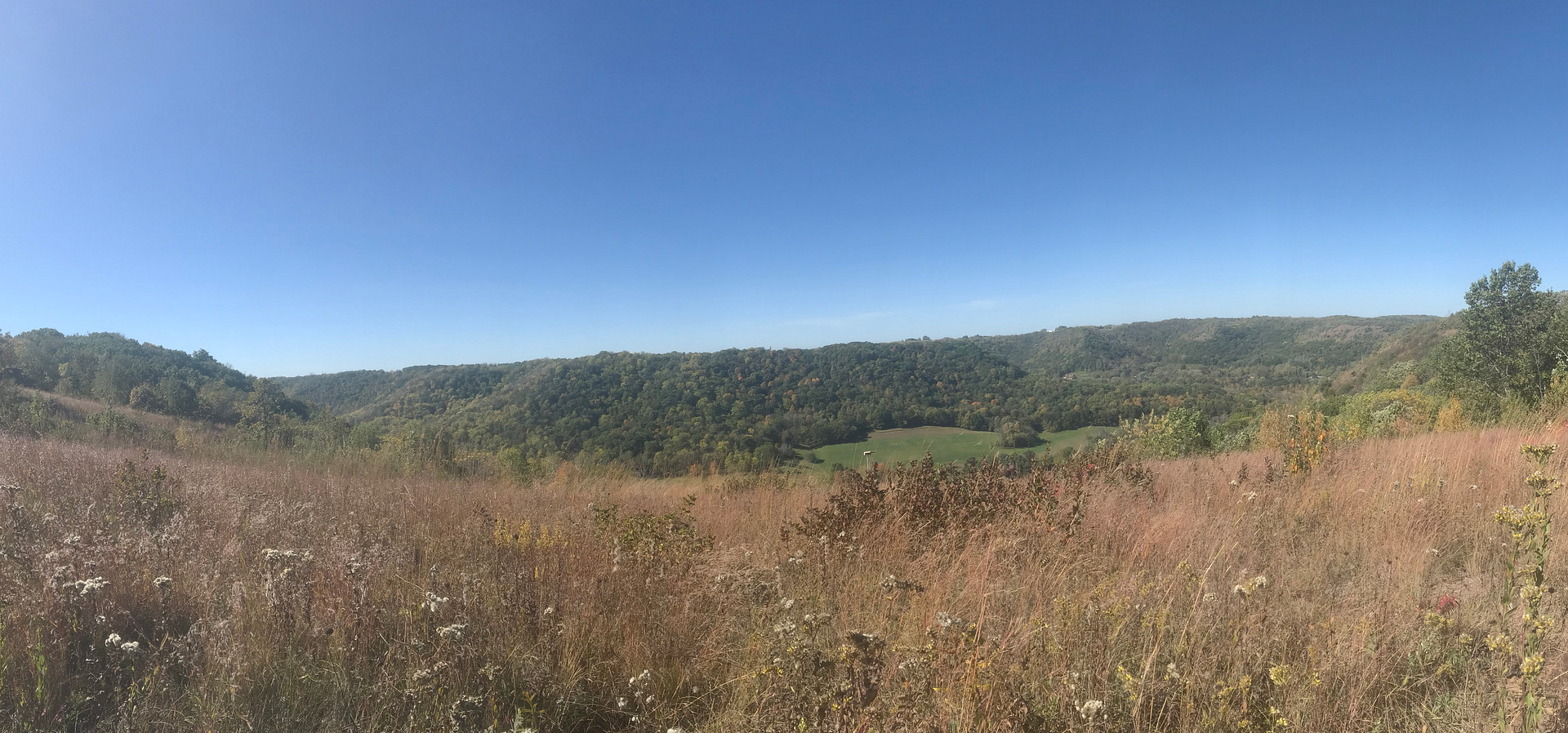 Views on the trail to King's Bluff