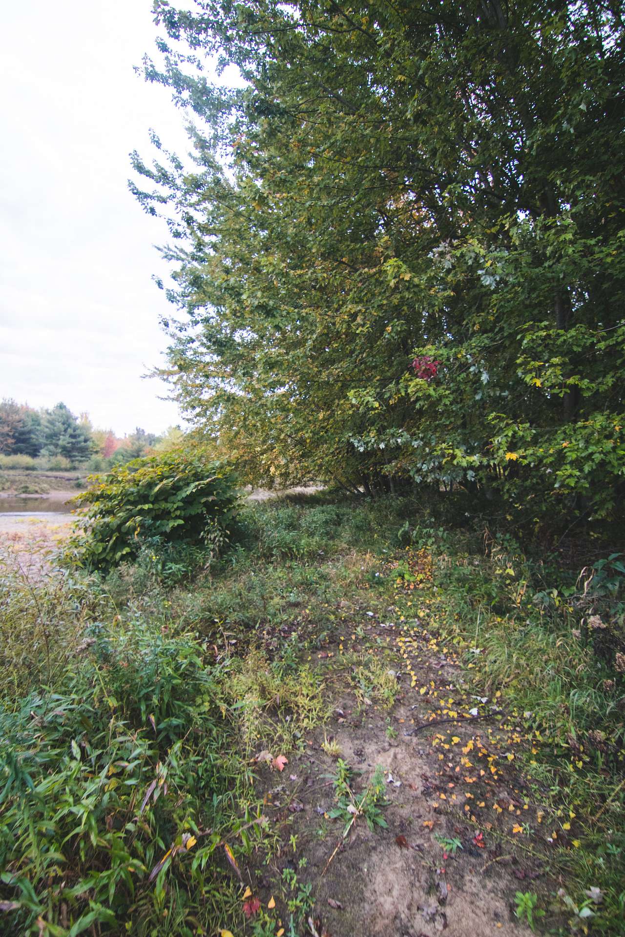 Adirondack Acres Trail & Camp