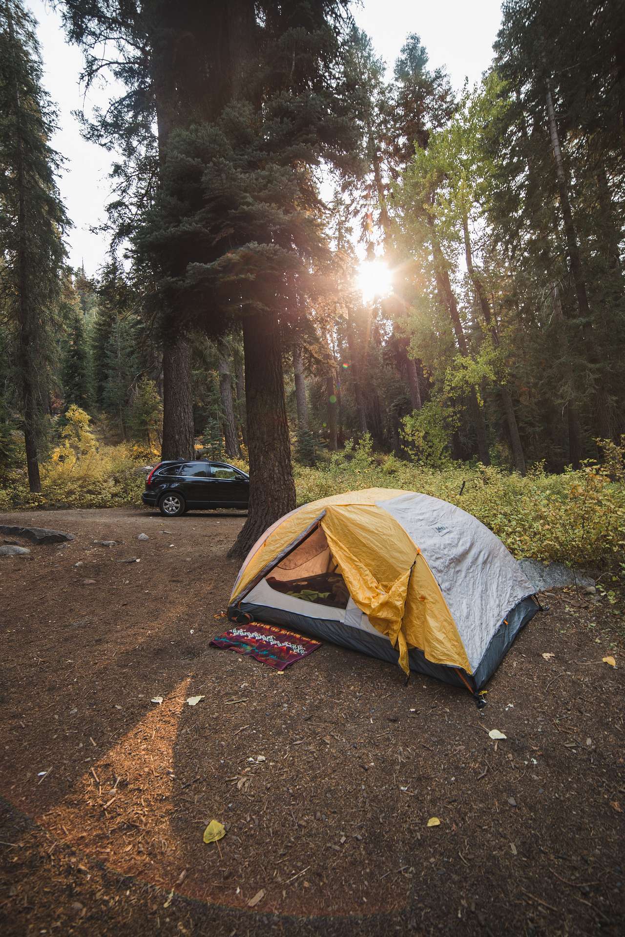 Camp site for the weekend