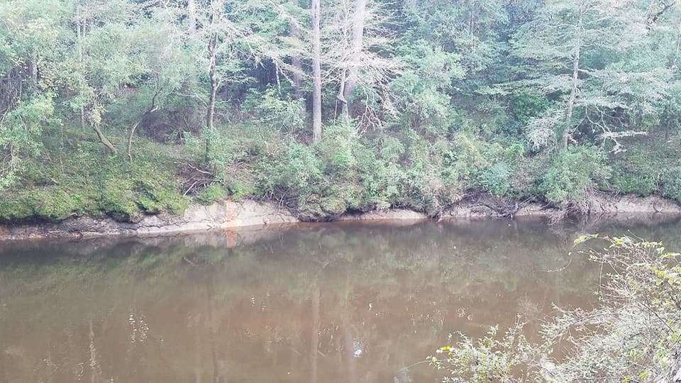 Another shot of the creek.