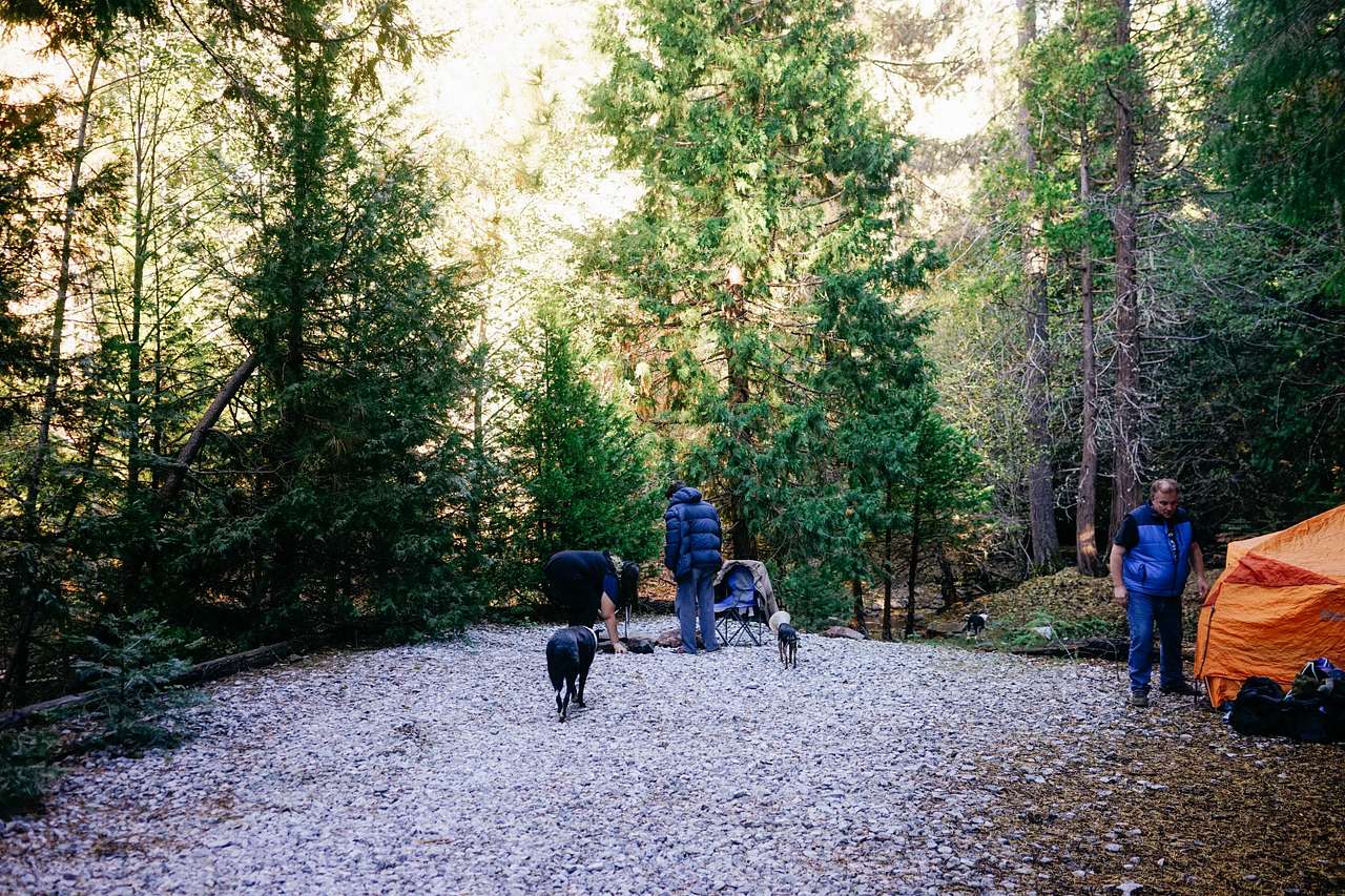 Sugar Pine Springs Resort