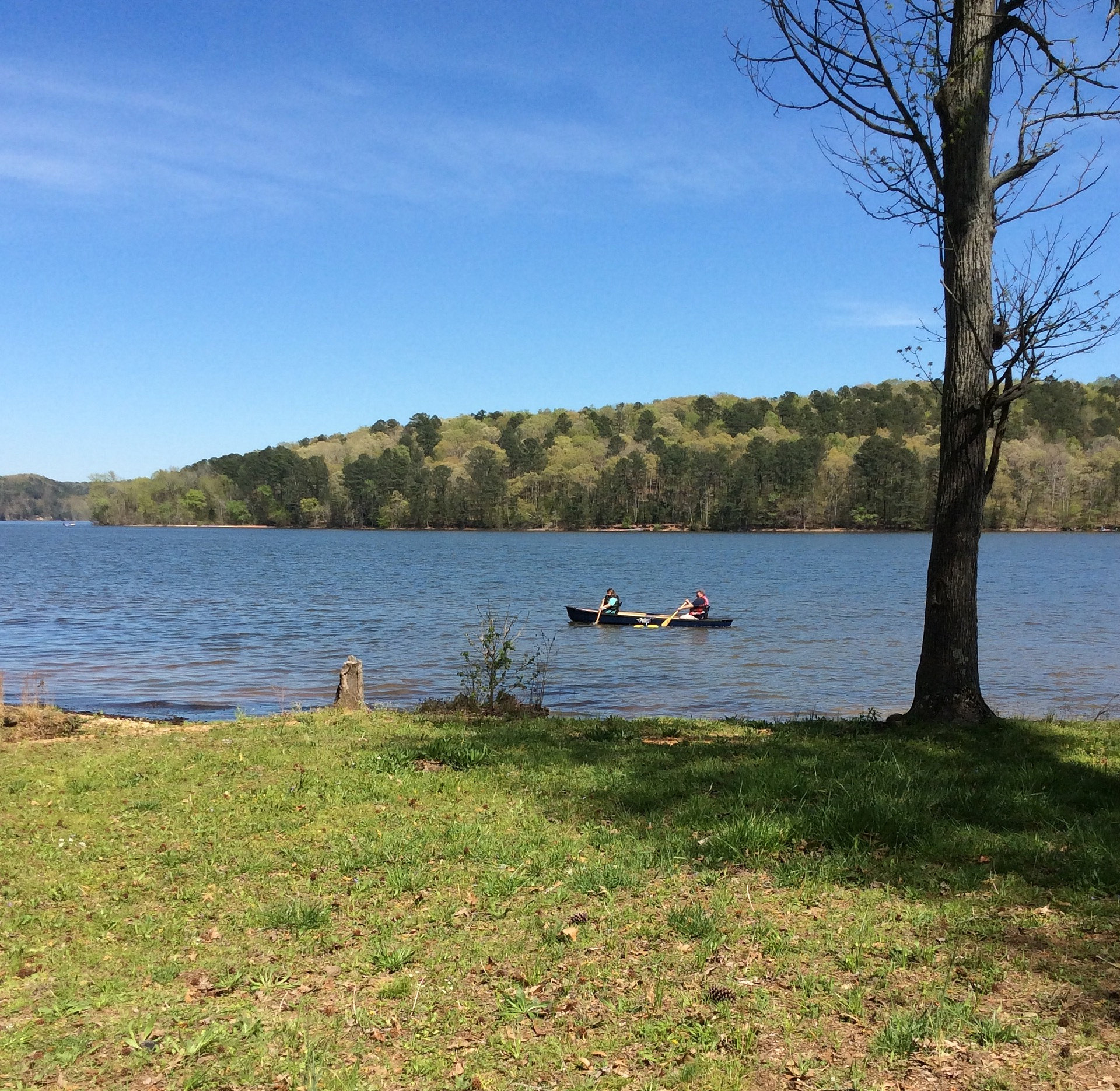 J.P. Coleman State Park