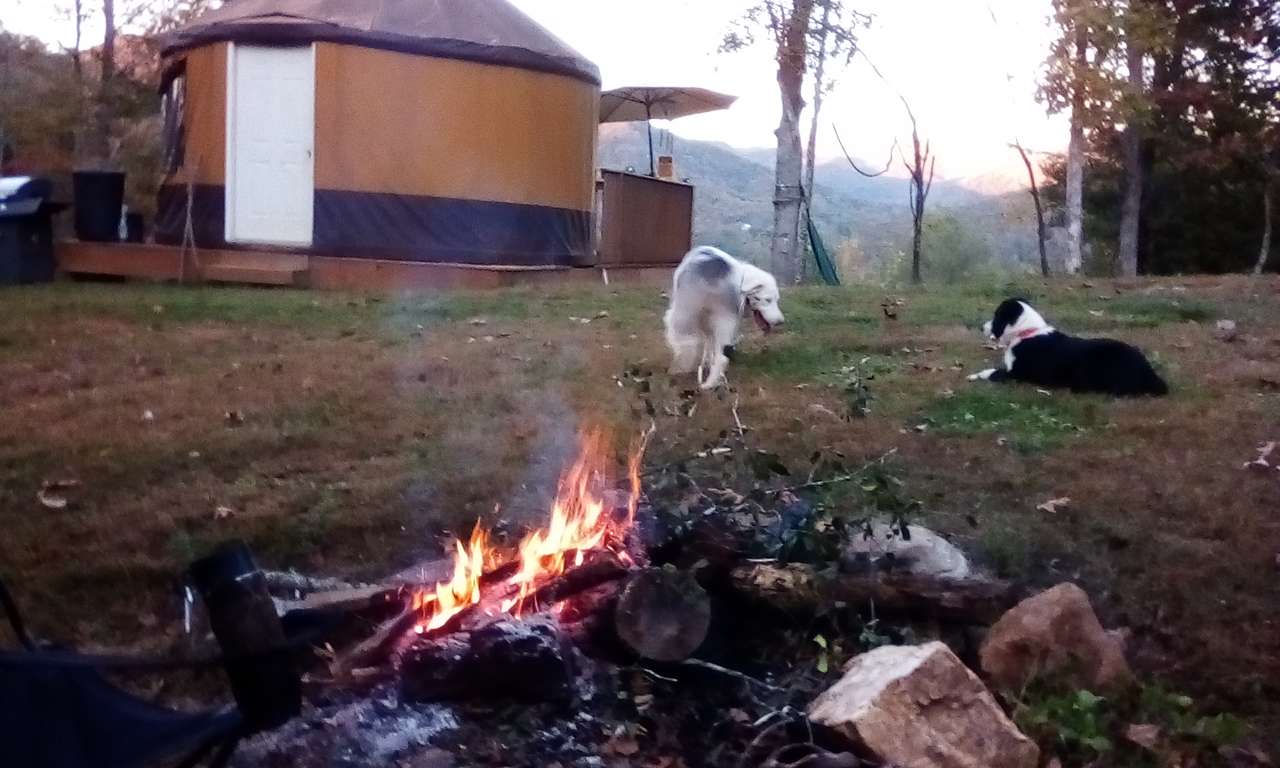 A yurt life :)