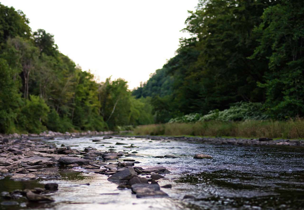 From the bottom of the Grand Canyon of PA. 11 - Photo Breznier style panorama.