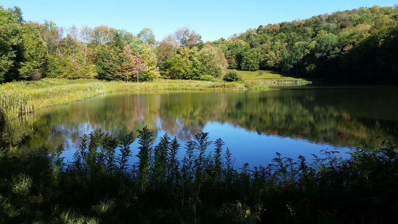 Paddle around in the 6 acre pond stocked while fishing for large and small mouth bass, and way to many sunny's.  