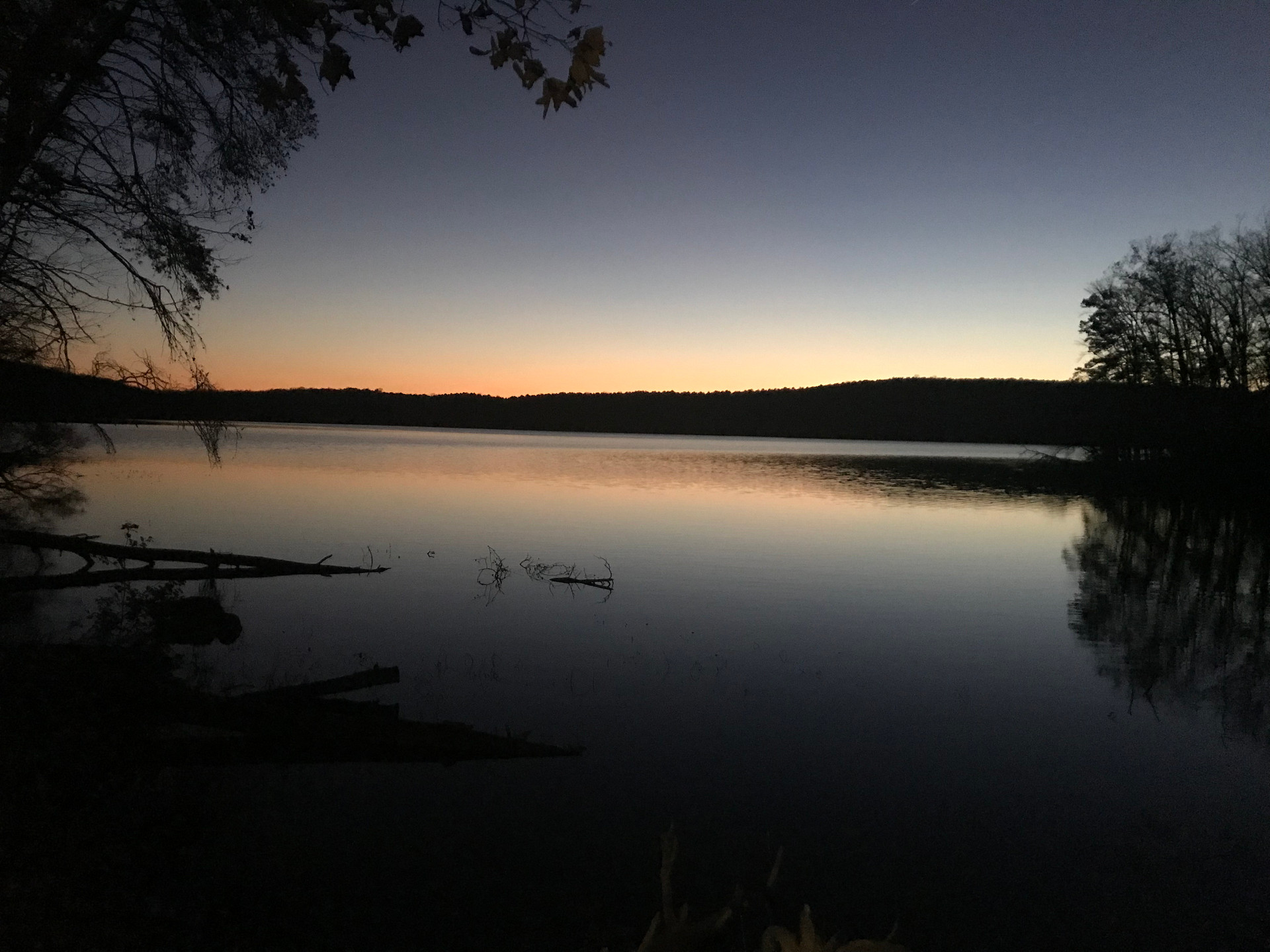 Uwharrie National Forest