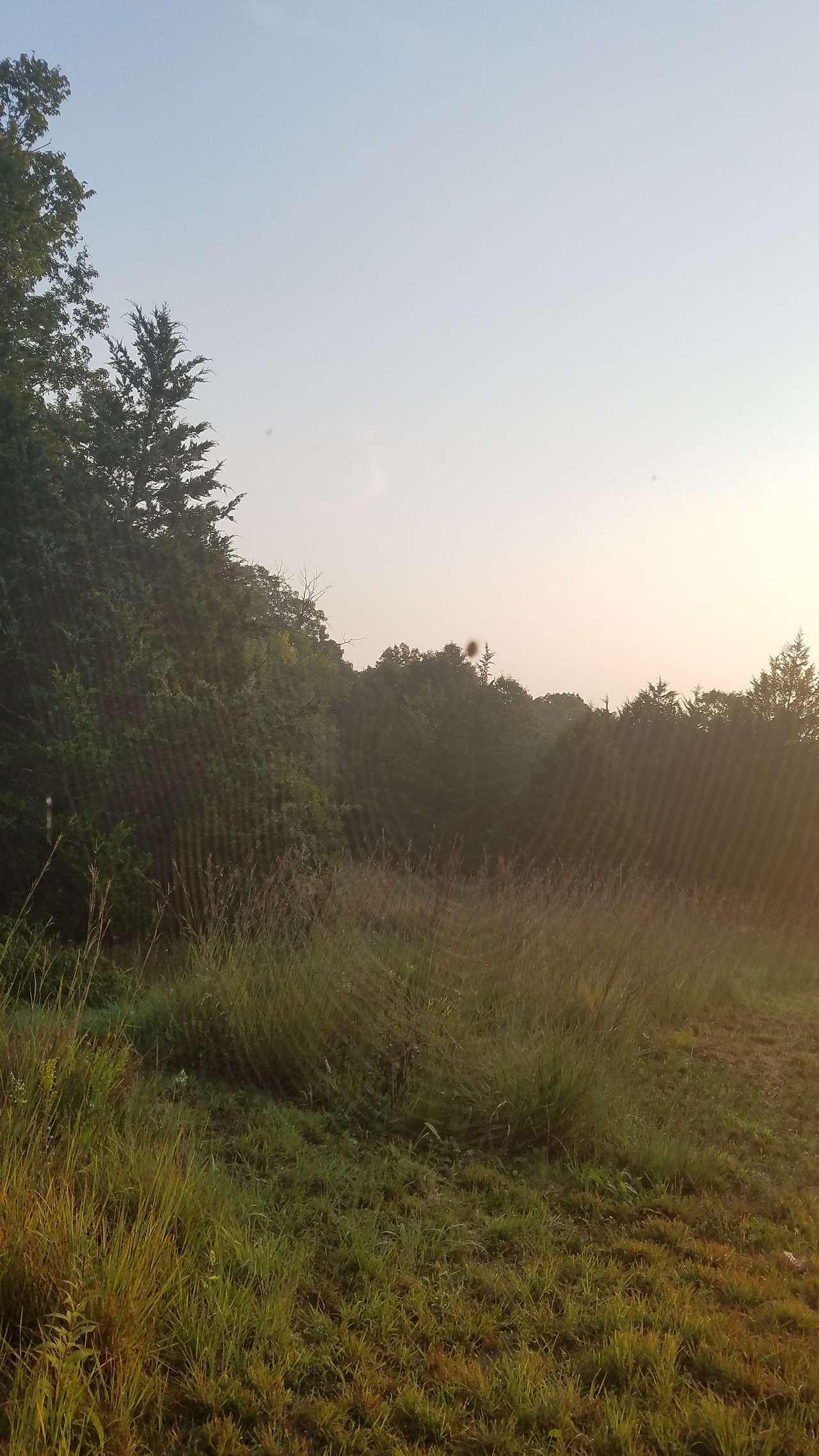 Ozark Hills Honey Farm