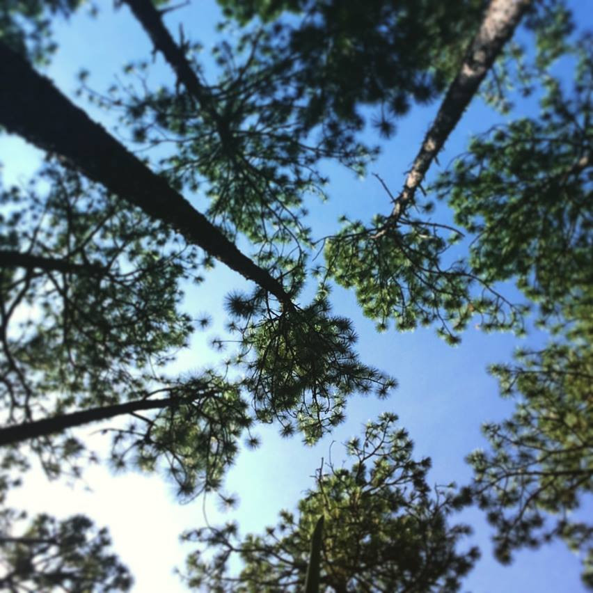 Aiken Campground