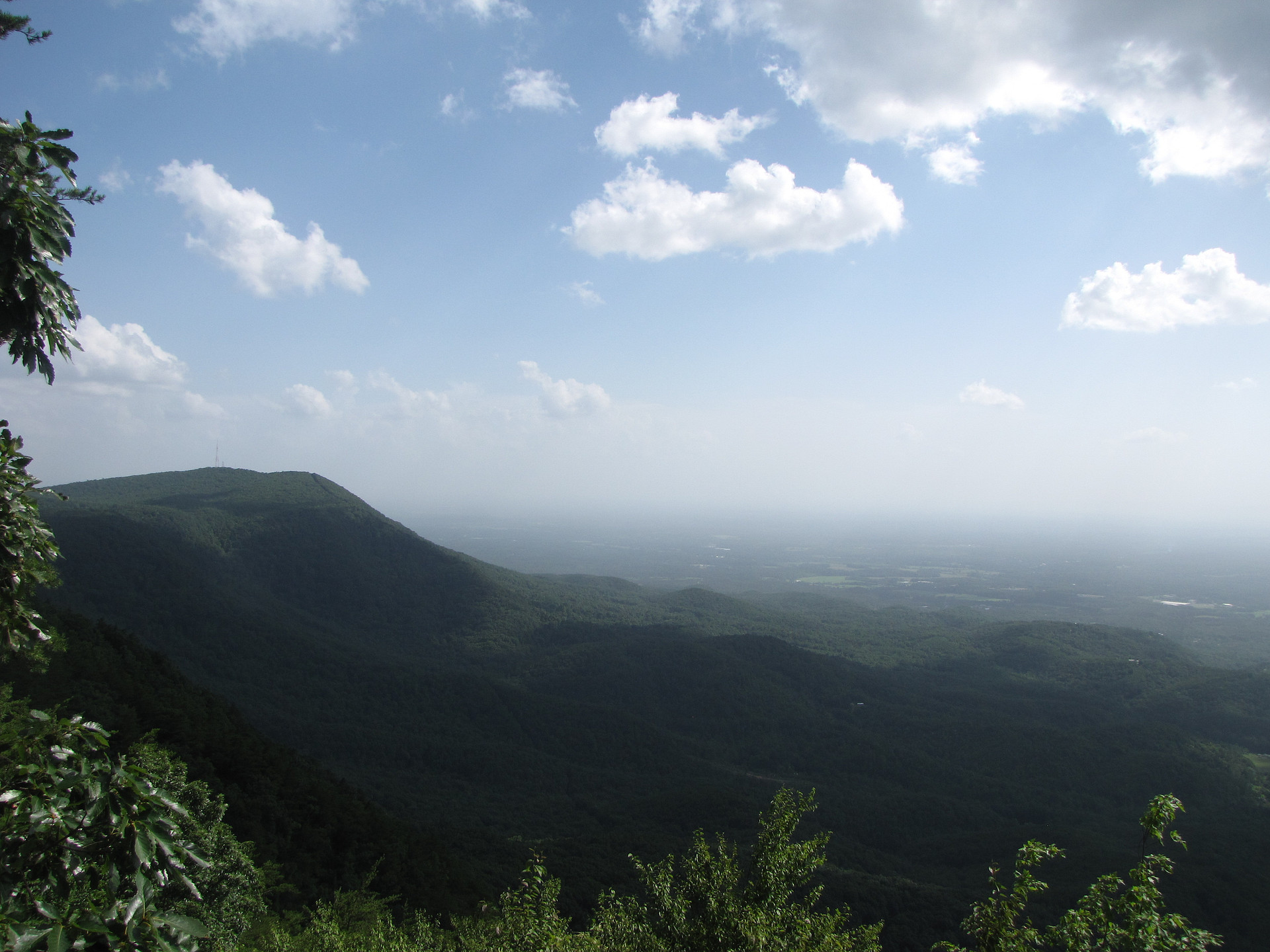 View from the top