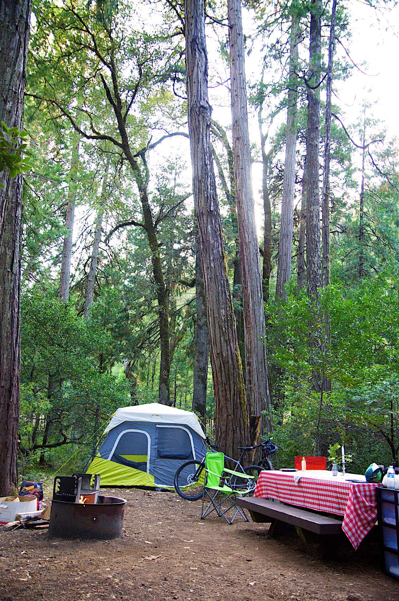 Trail site #2, very easy walk from the parking spots