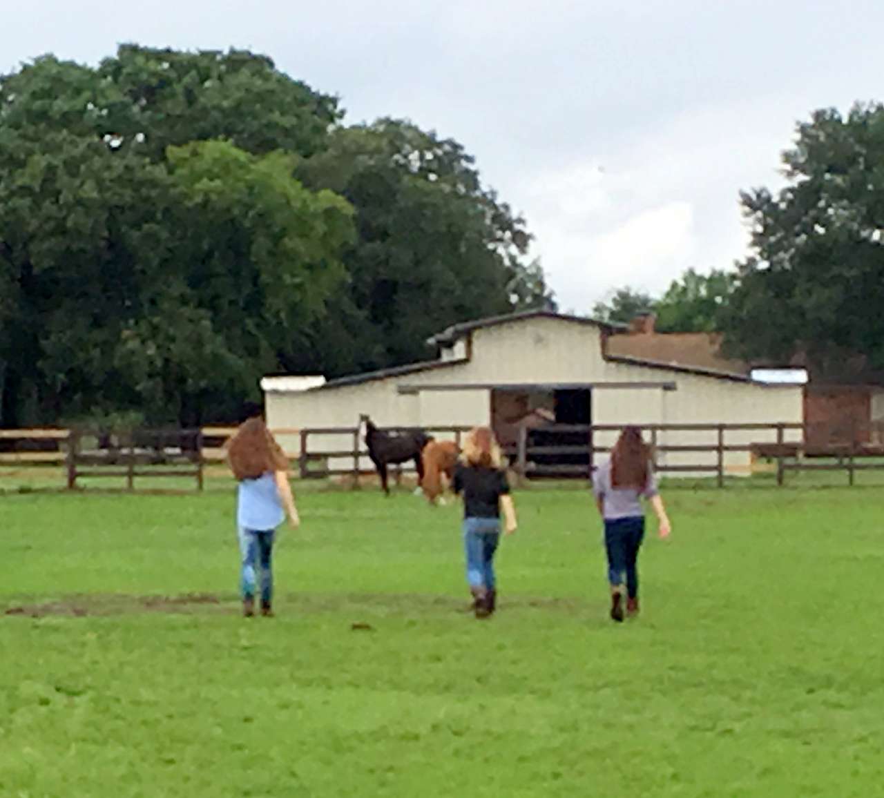 Barn time with the girls