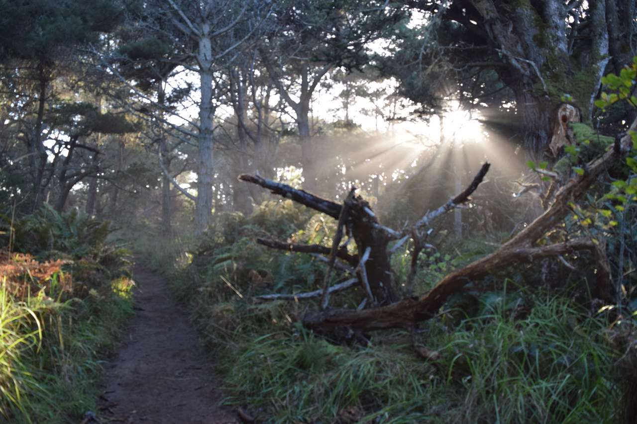 MacKerricher Walk-in Campground