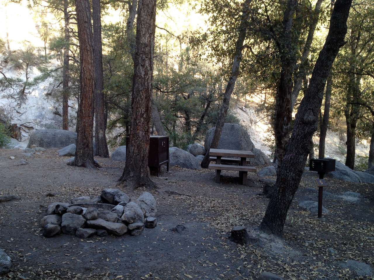 Campsite in the trees