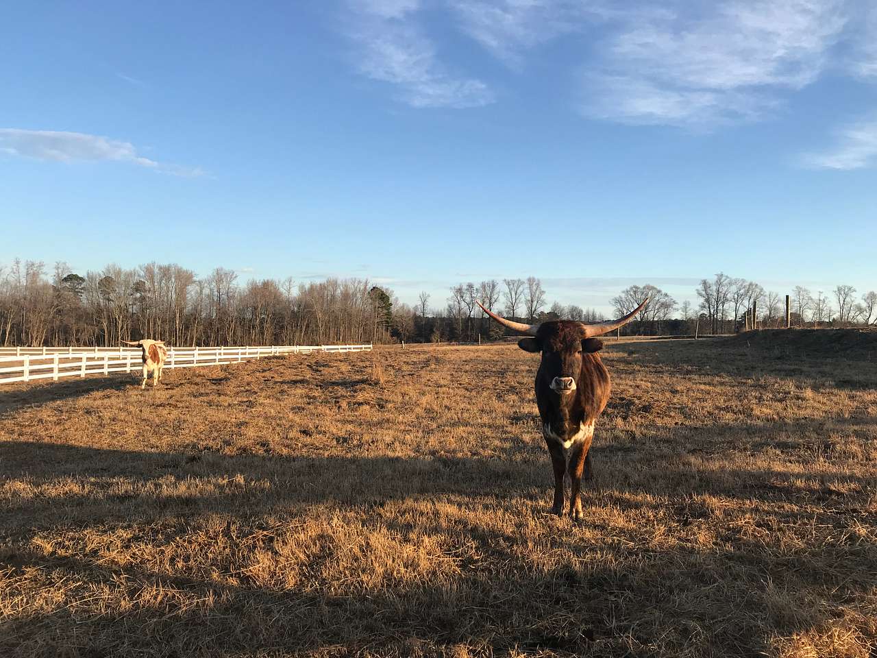 Horse Ranch-a short drive from 95