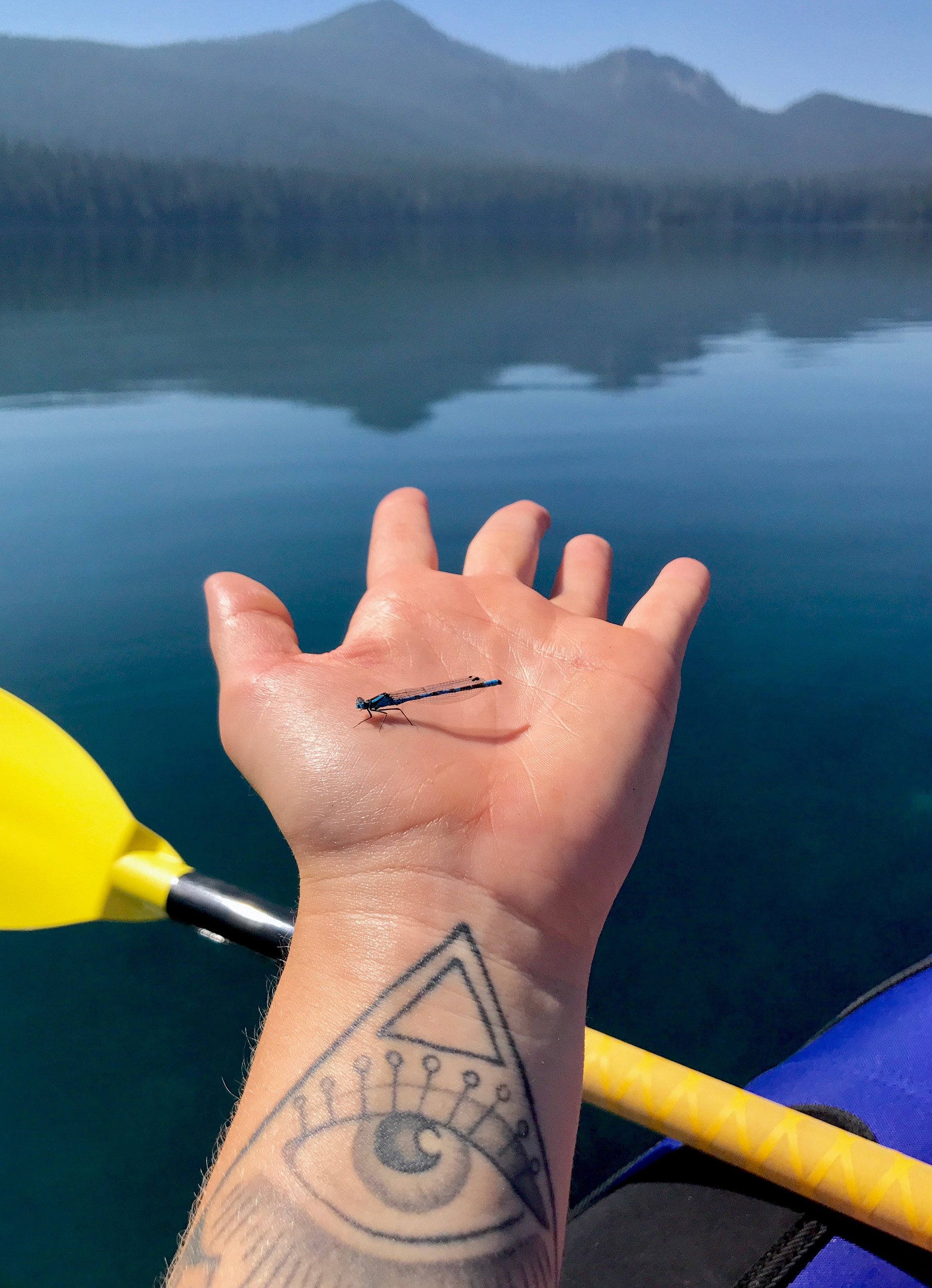 Willamette National Forest