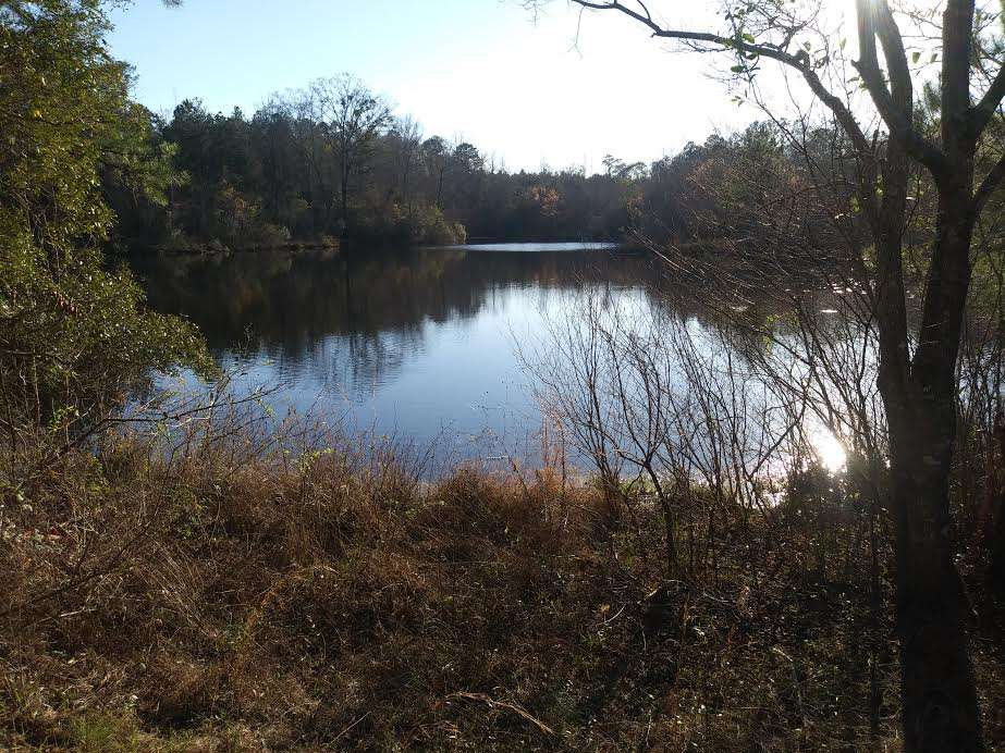 Murchison Farm's Primitive Camping