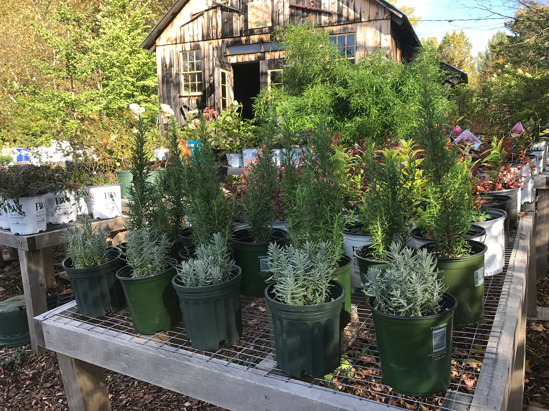 Learn something new about growing plants.